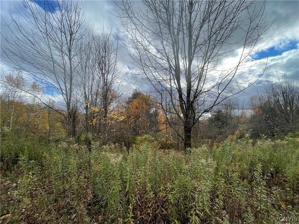 15 Lee Road Camden, NY 13316 - Photo 11 of 12 Gallery Image 11