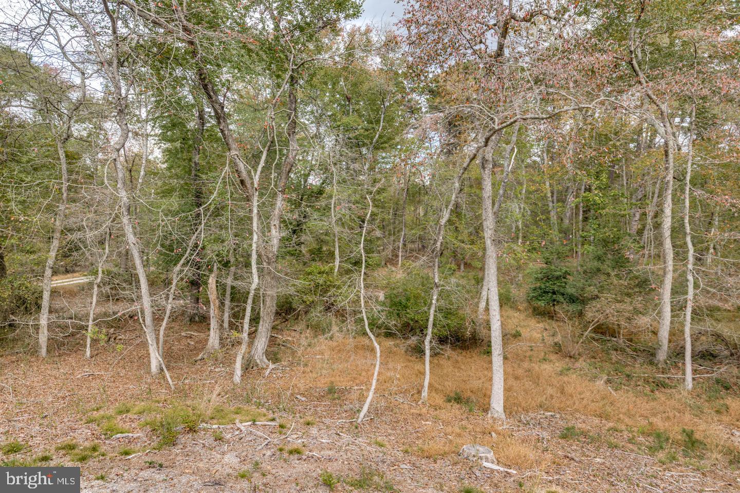 20 Sooy Place Road Southampton, NJ 08088 - Photo 33 of 47 a view of a yard
