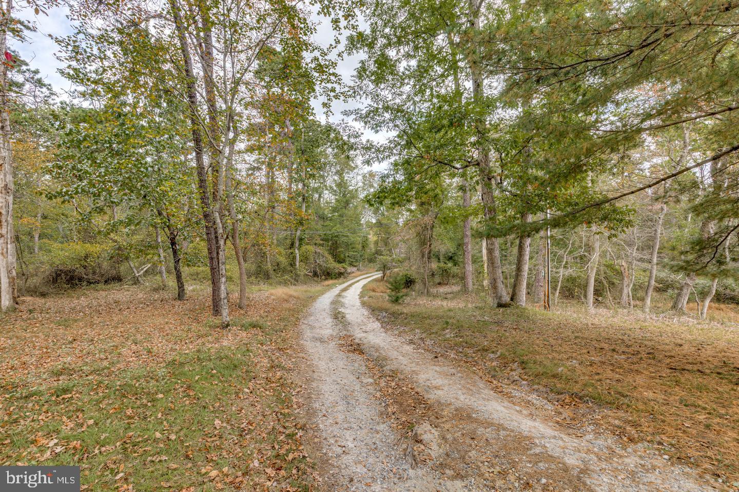 20 Sooy Place Road Southampton, NJ 08088 - Photo 4 of 47 a view of a yard with large trees