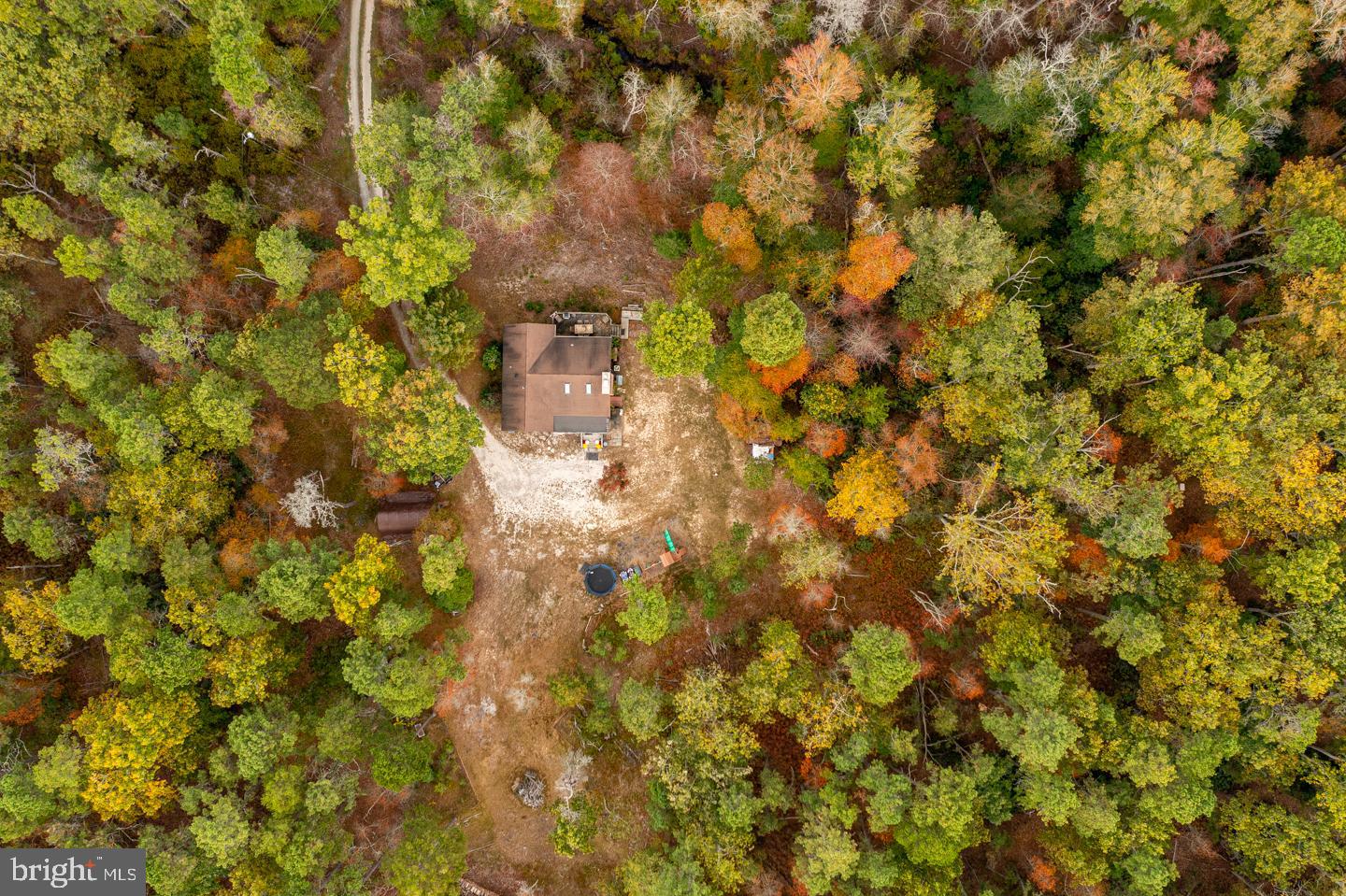 20 Sooy Place Road Southampton, NJ 08088 - Photo 41 of 47 a close up of a tree