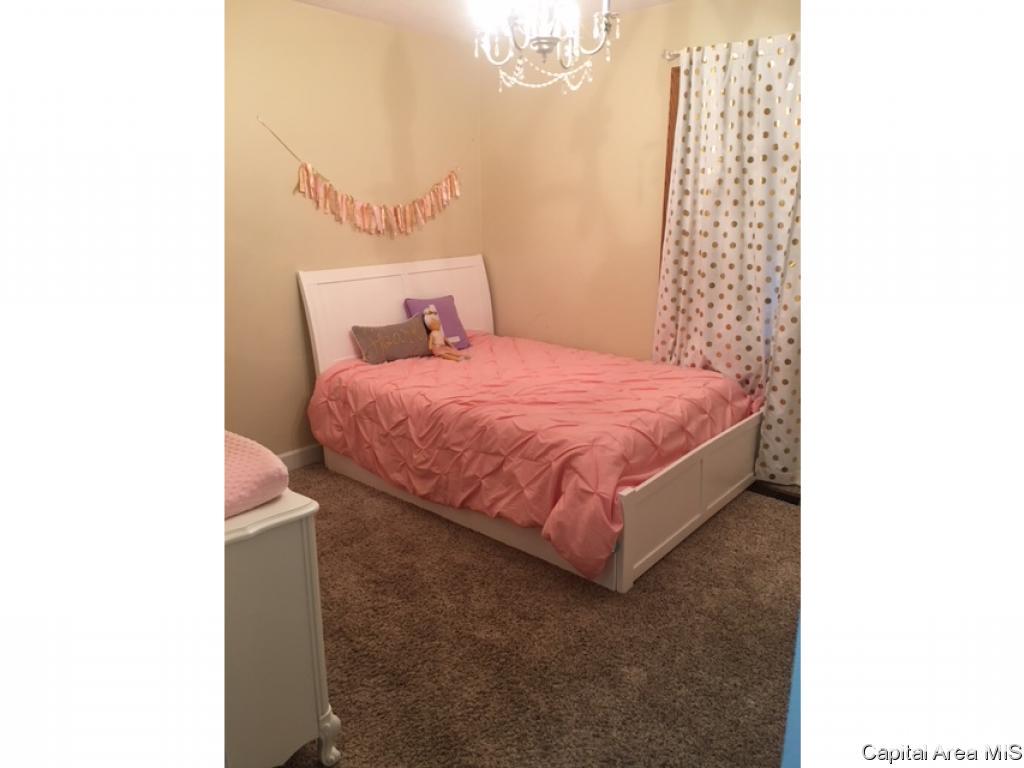 362 South Tower Road Dawson, IL 62520 - Photo 8 of 16 Gallery Image 8