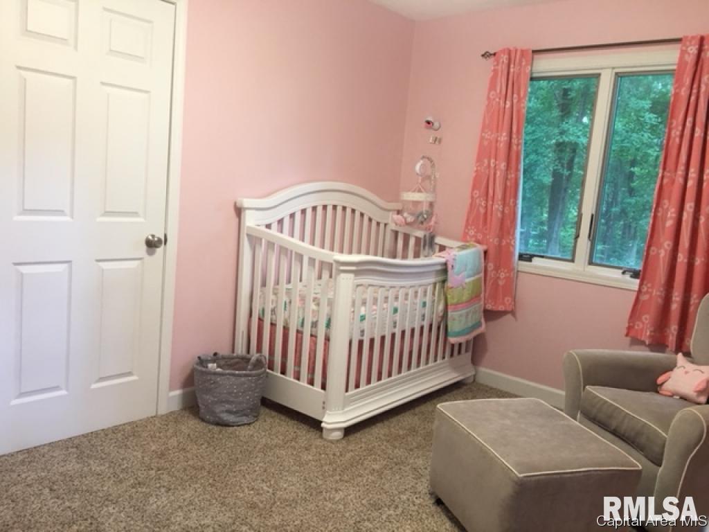 362 South Tower Road Dawson, IL 62520 - Photo 9 of 16 Gallery Image 9