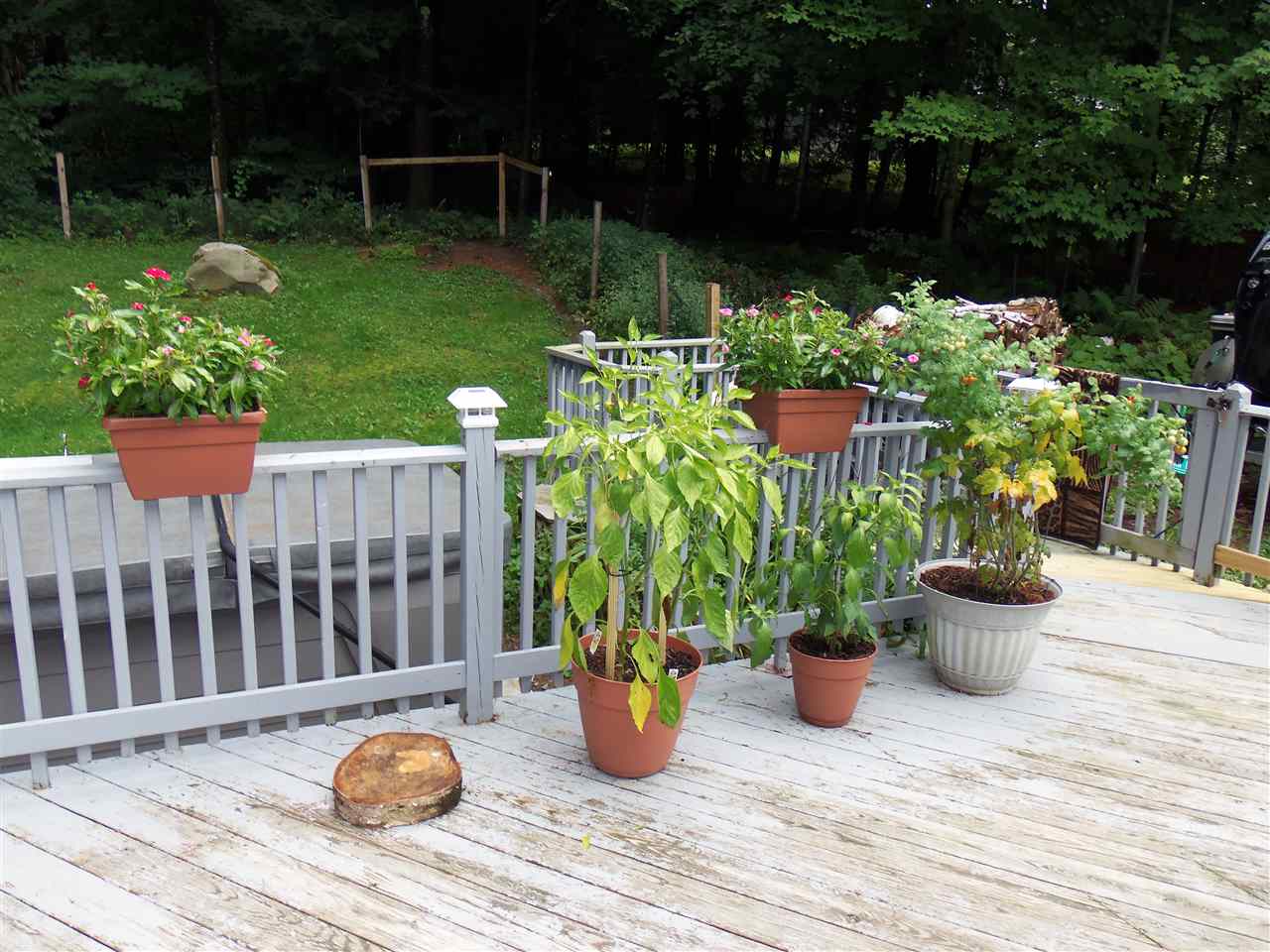 313 Pinehill Road West Rutland, VT 05777 - Photo 3 of 16