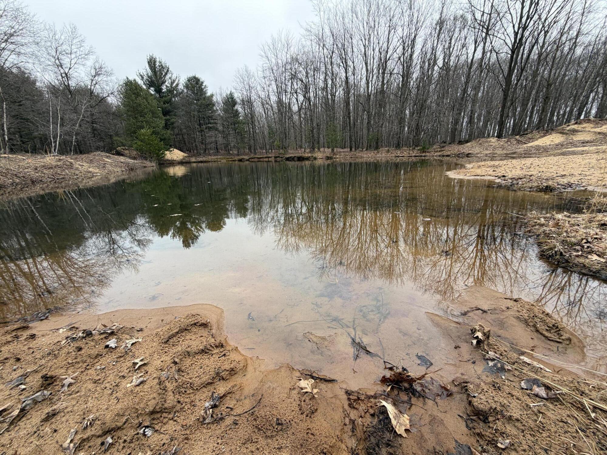 13709 South Fenmore Road Brant, MI 48614 - Photo 11 of 44 Pic 11