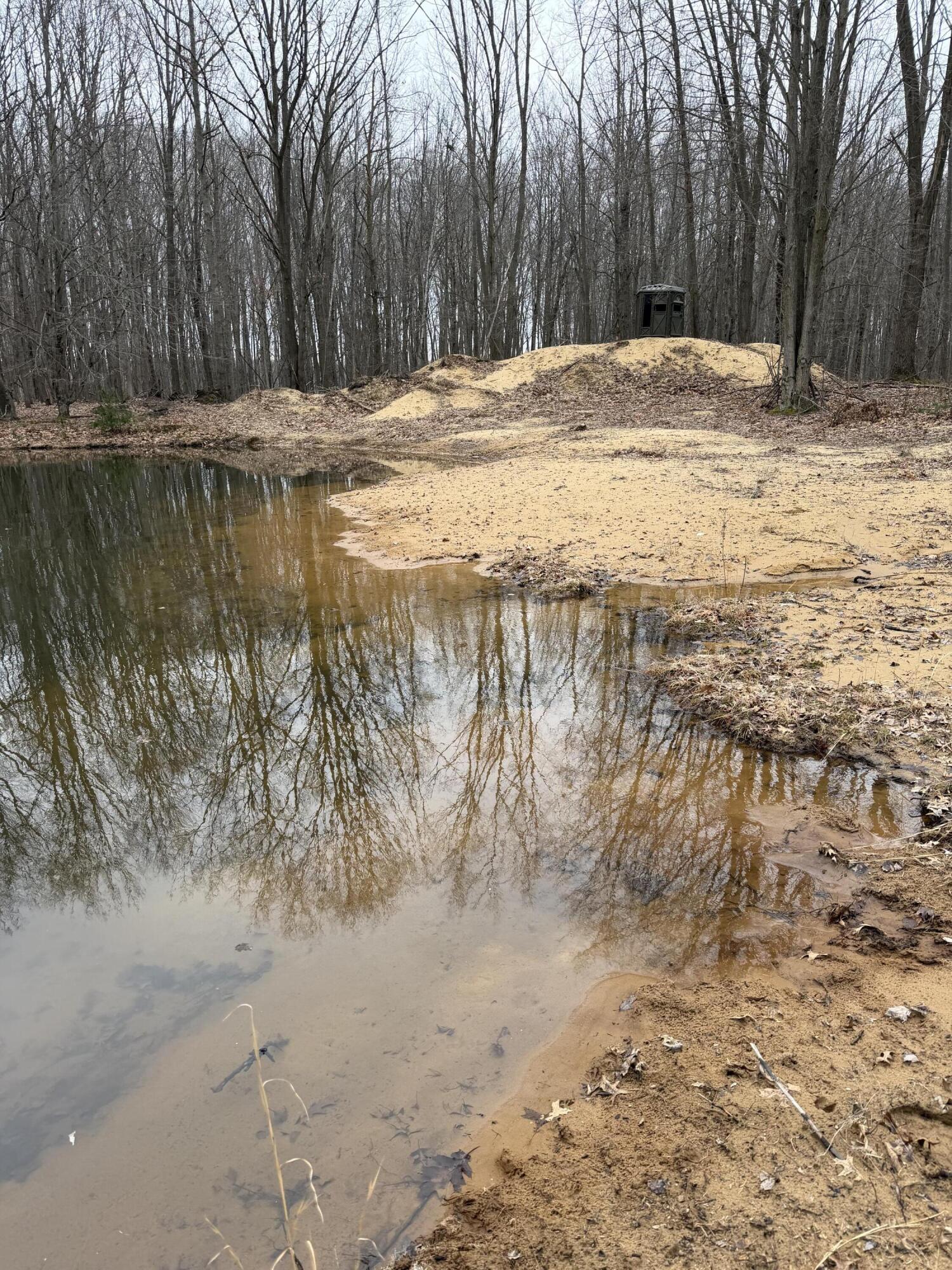 13709 South Fenmore Road Brant, MI 48614 - Photo 12 of 44 Pic 12