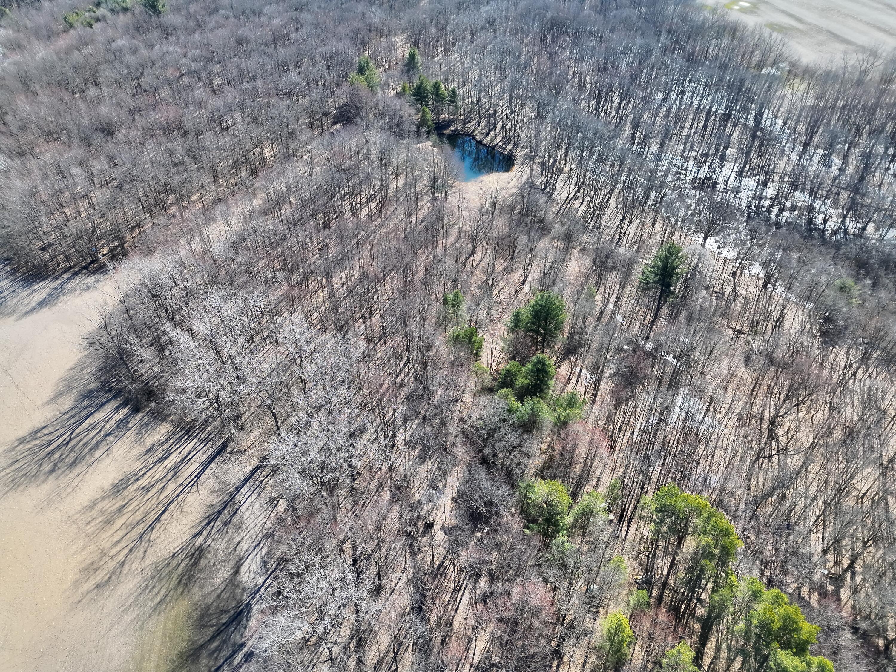 13709 South Fenmore Road Brant, MI 48614 - Photo 14 of 44 Pic 14