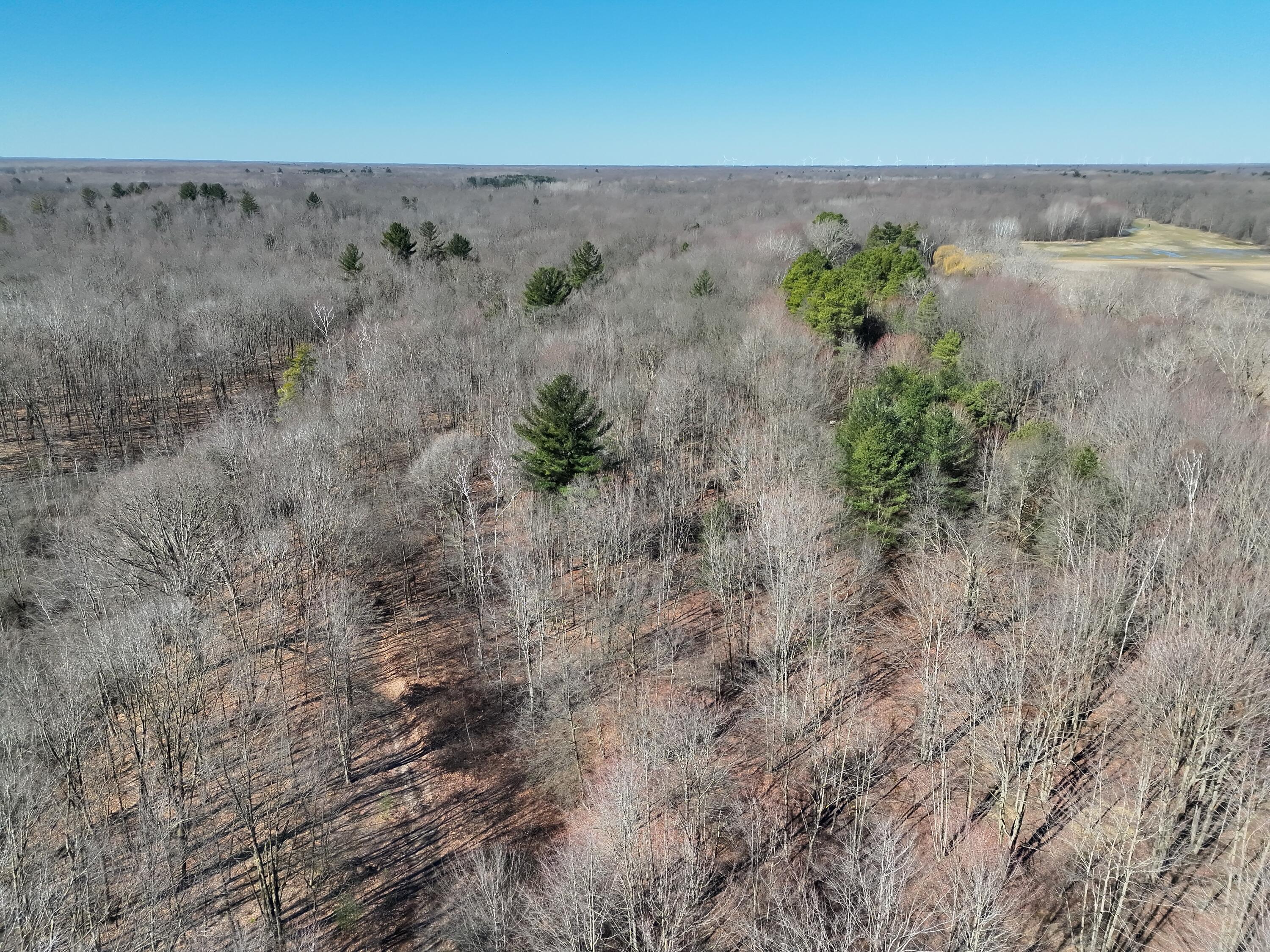 13709 South Fenmore Road Brant, MI 48614 - Photo 15 of 44 Pic 15