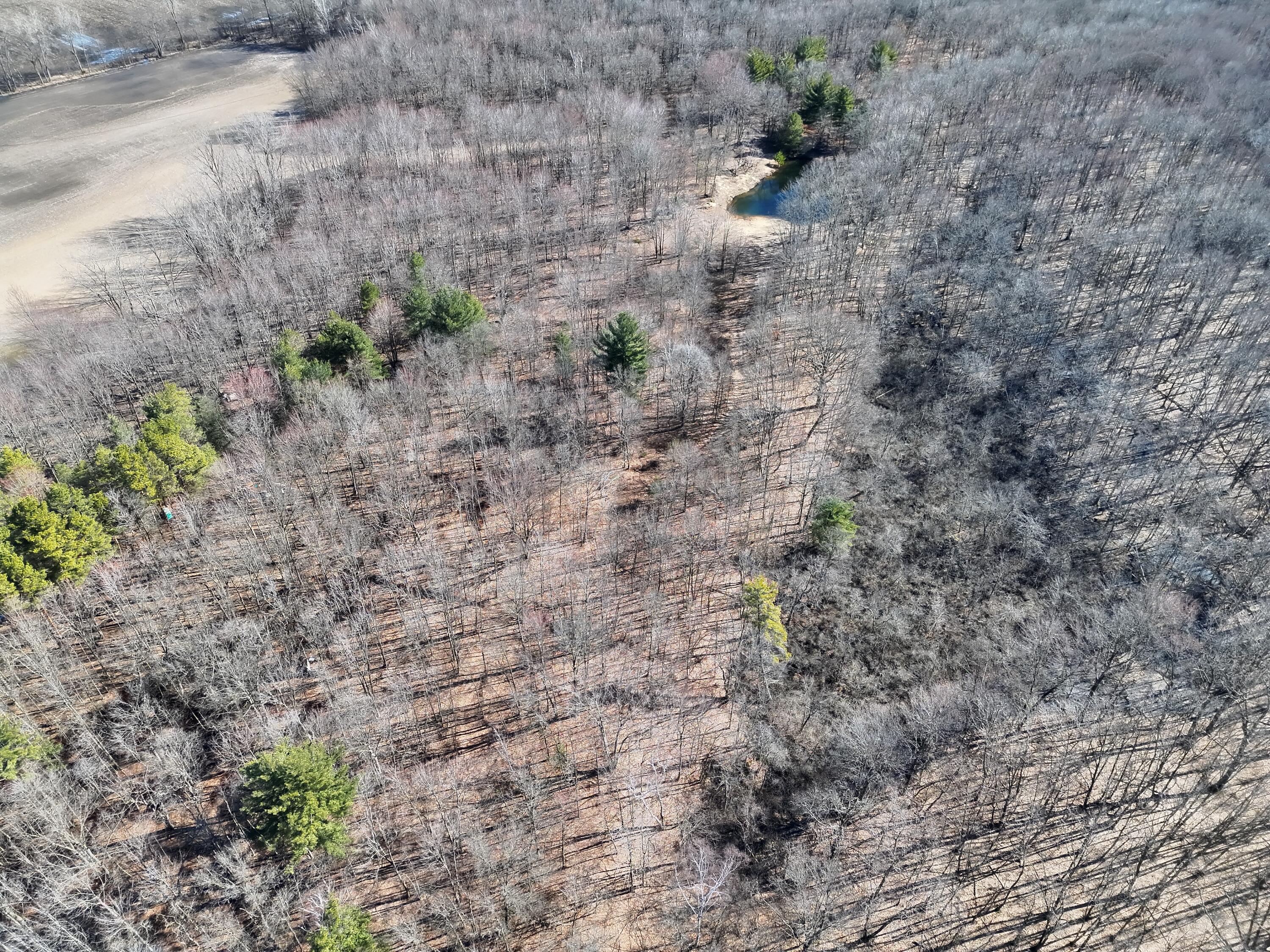 13709 South Fenmore Road Brant, MI 48614 - Photo 16 of 44 Pic 17