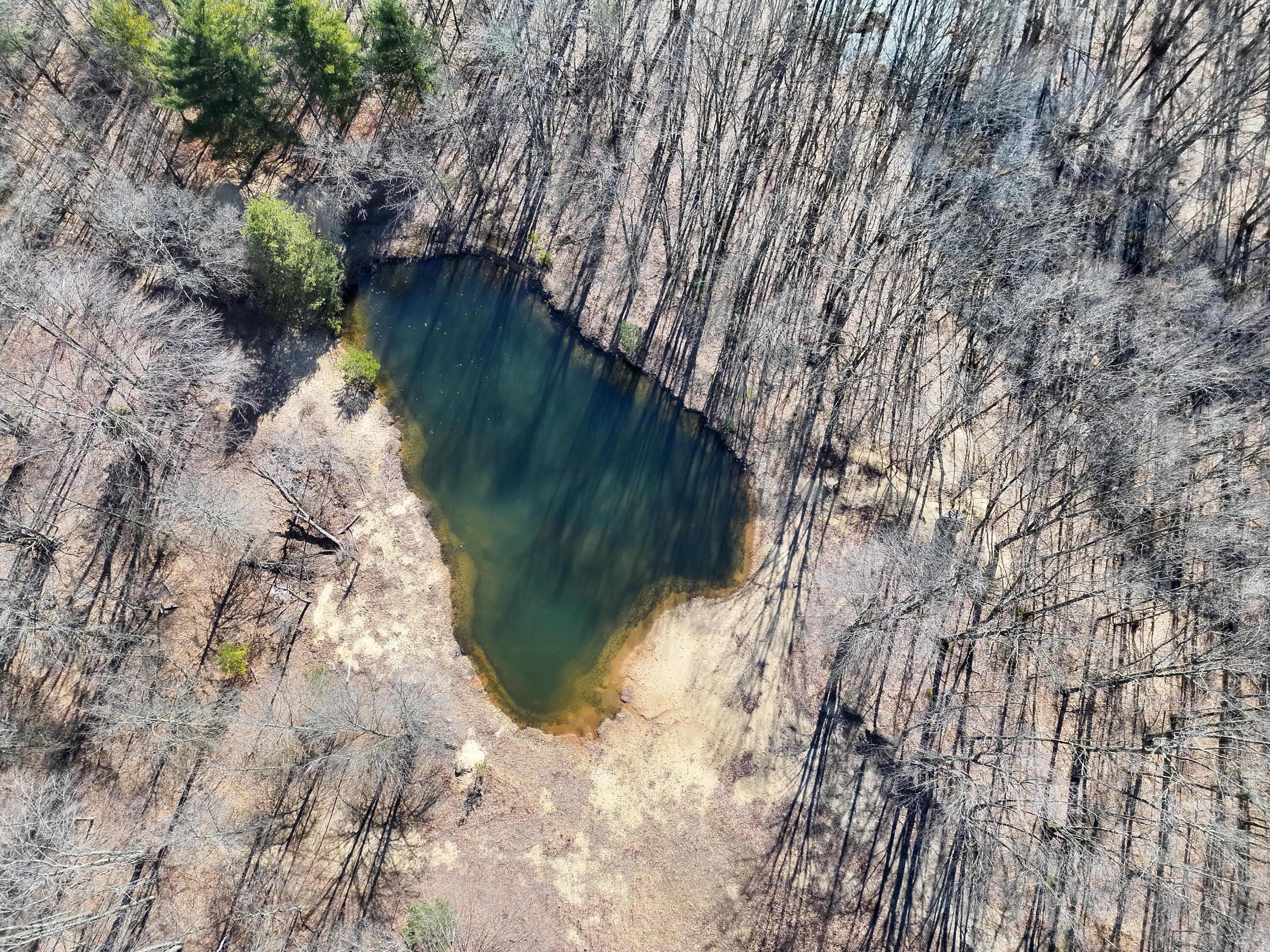 13709 South Fenmore Road Brant, MI 48614 - Photo 17 of 44 Pic 18