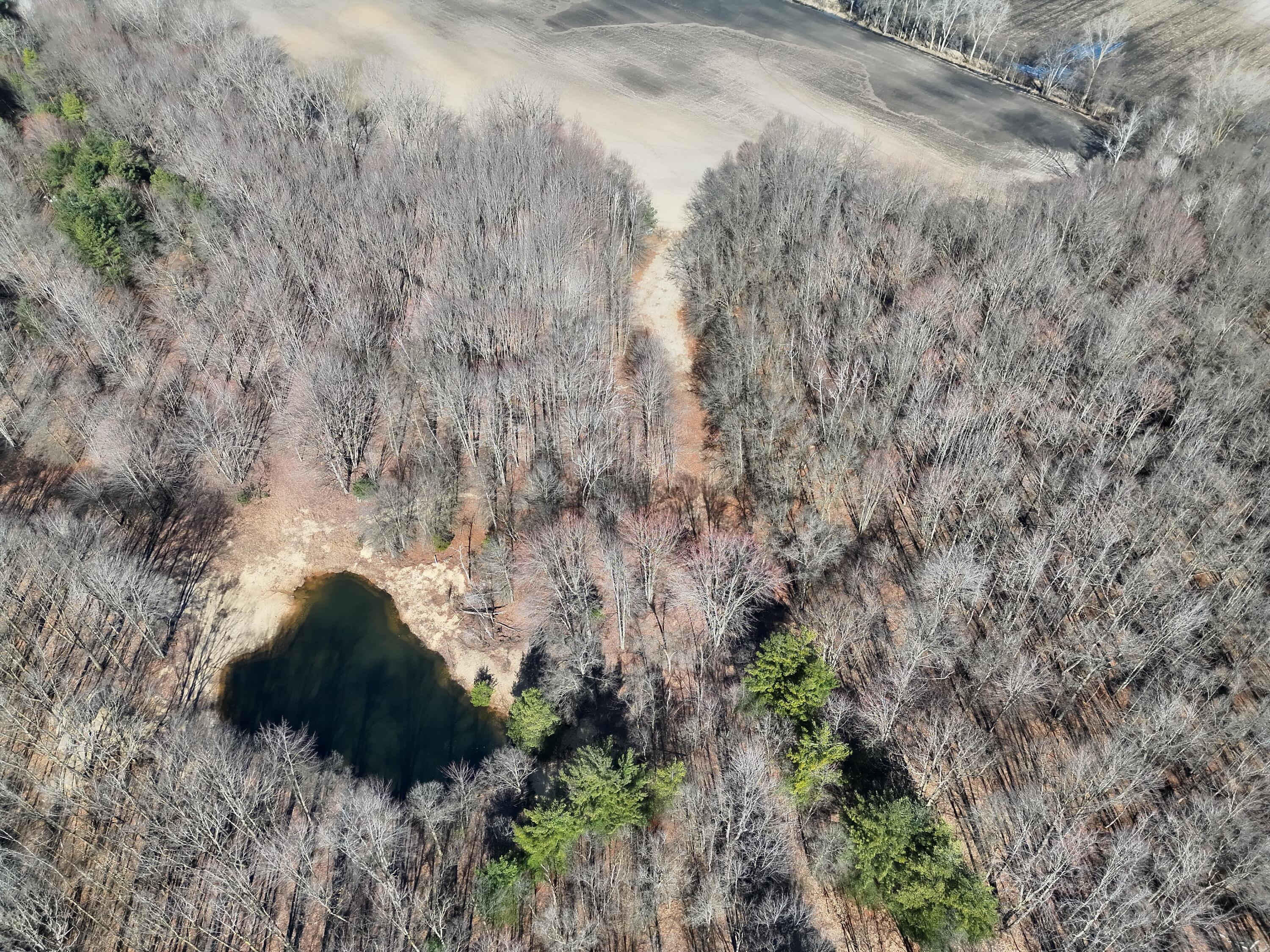 13709 South Fenmore Road Brant, MI 48614 - Photo 18 of 44 Pic 19