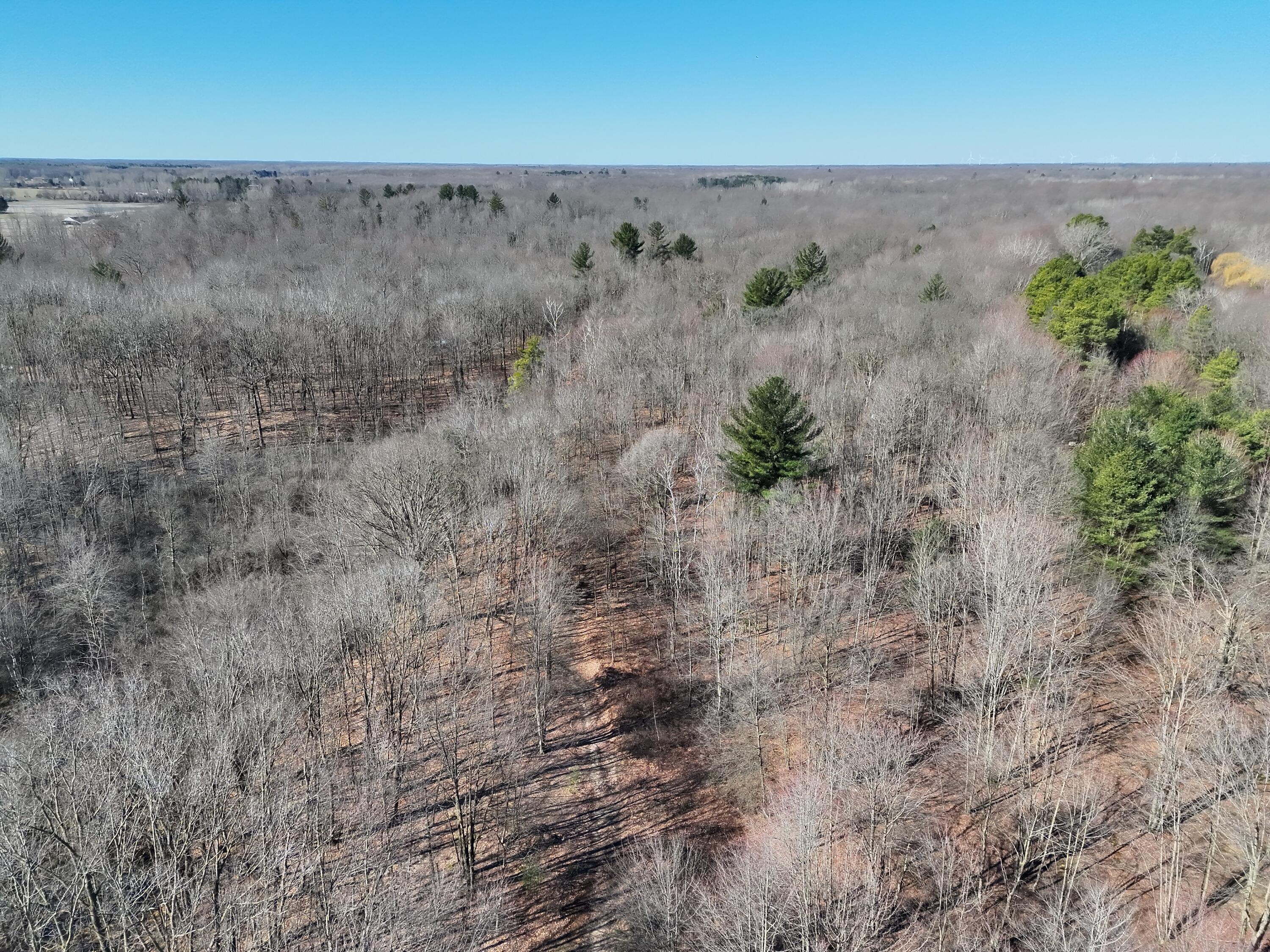 13709 South Fenmore Road Brant, MI 48614 - Photo 19 of 44 Pic 20