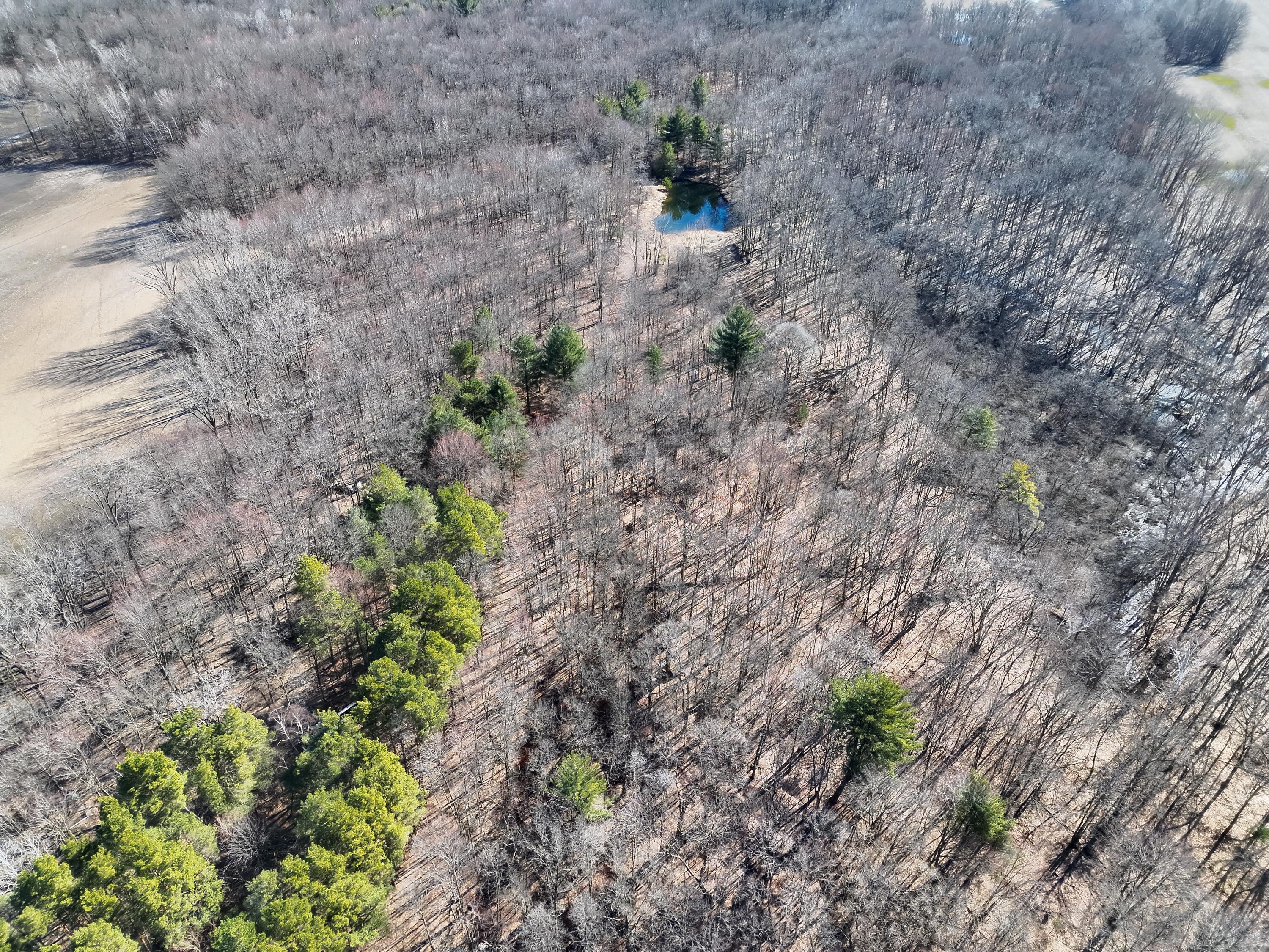 13709 South Fenmore Road Brant, MI 48614 - Photo 20 of 44 Pic 21