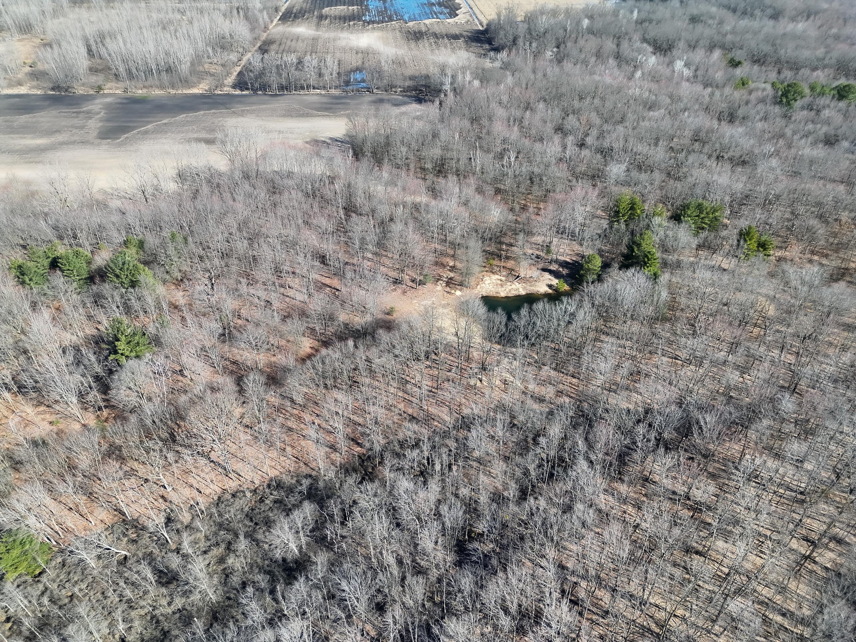 13709 South Fenmore Road Brant, MI 48614 - Photo 21 of 44 Pic 22