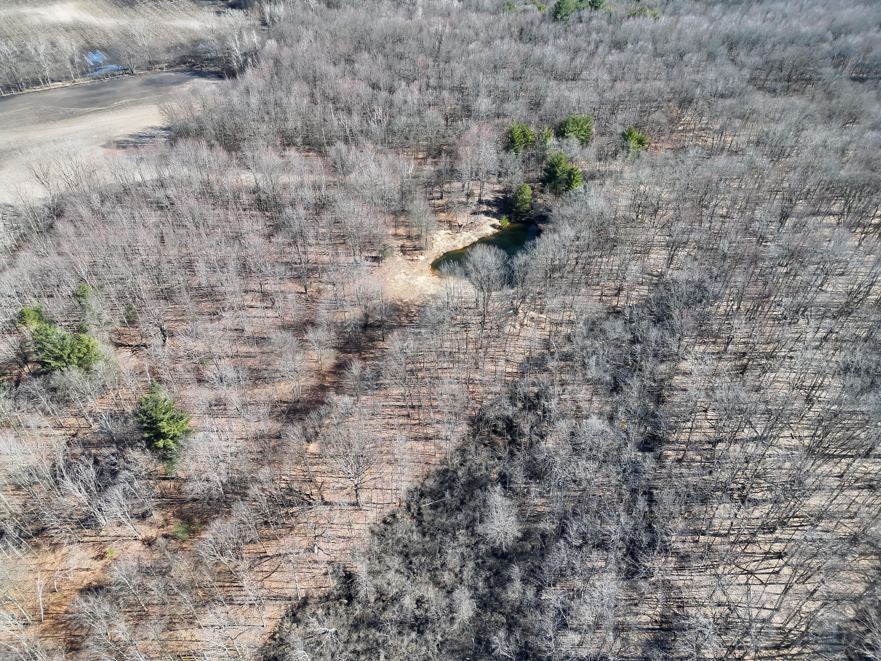 13709 South Fenmore Road Brant, MI 48614 - Photo 22 of 44 Pic 23