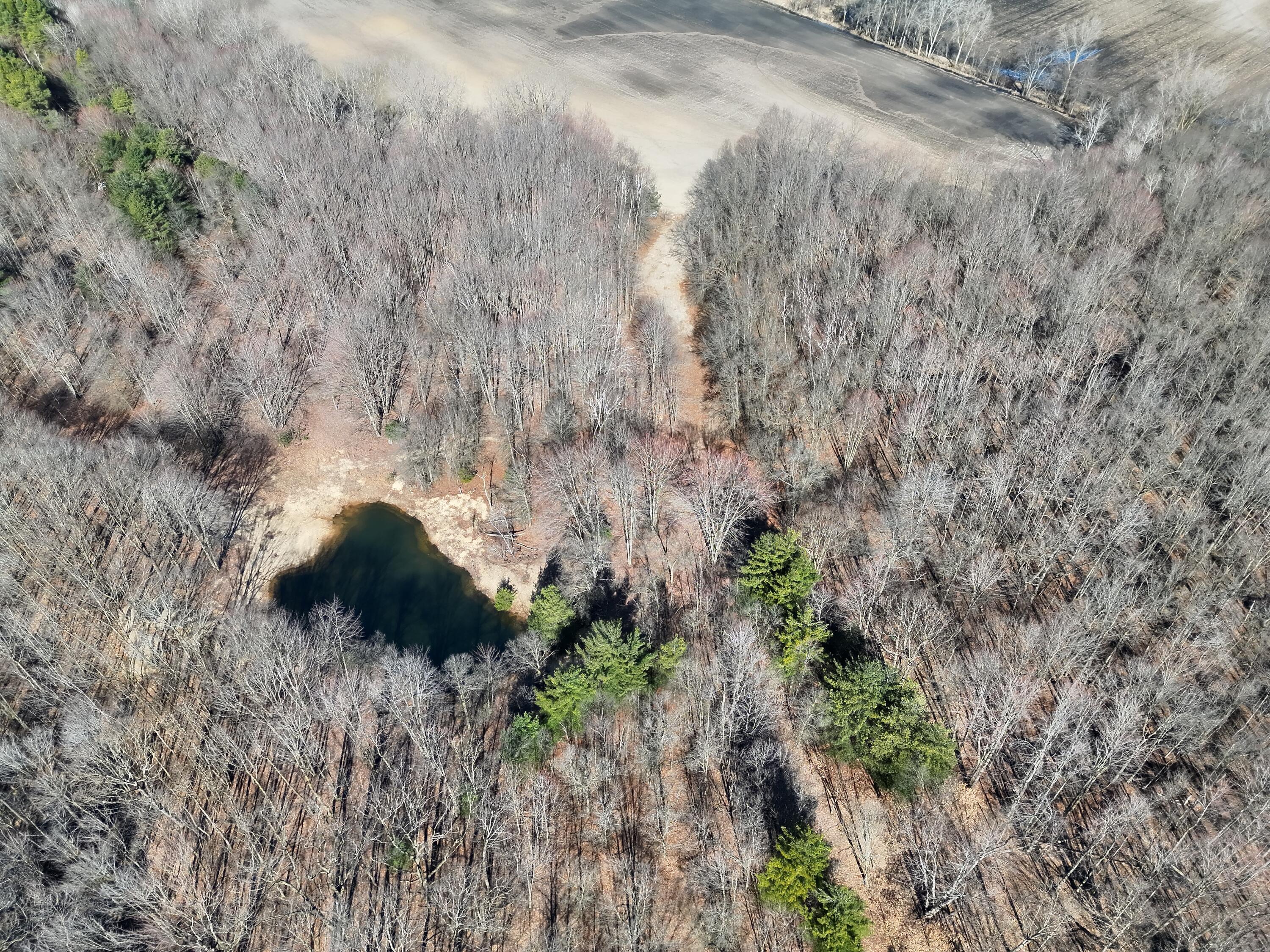 13709 South Fenmore Road Brant, MI 48614 - Photo 23 of 44 Pic 24