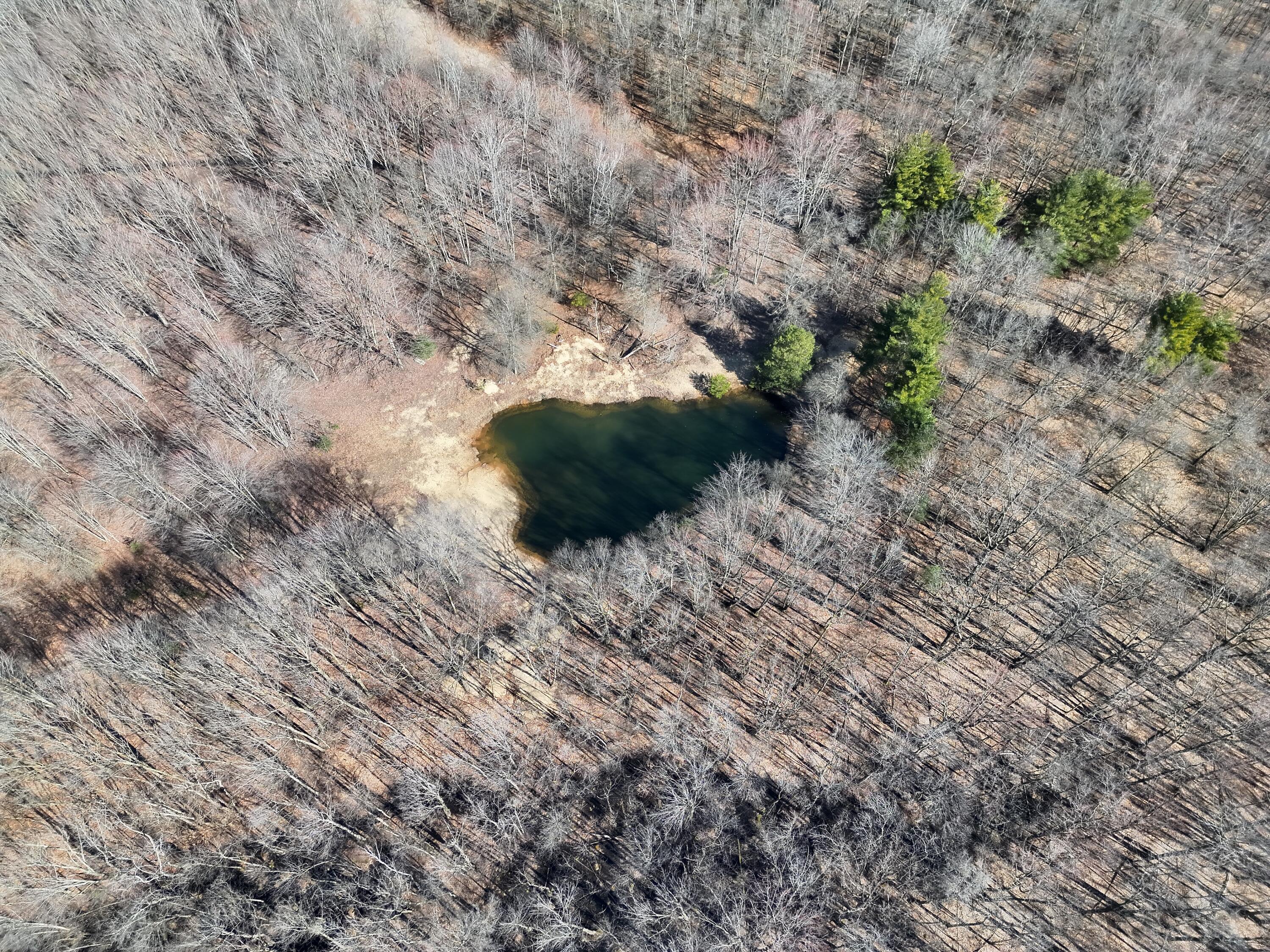 13709 South Fenmore Road Brant, MI 48614 - Photo 24 of 44 Pic 25