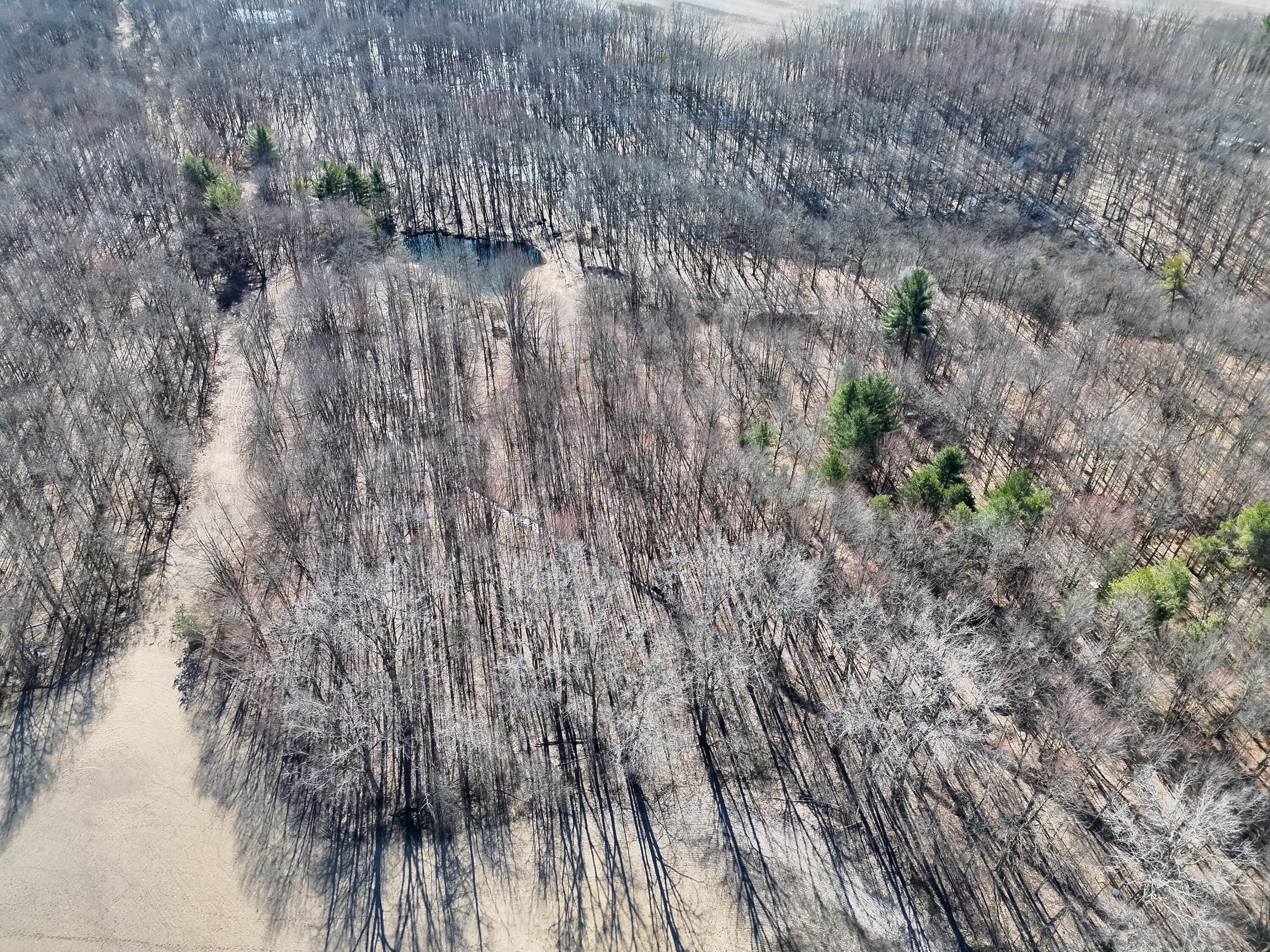 13709 South Fenmore Road Brant, MI 48614 - Photo 27 of 44 Pic 28