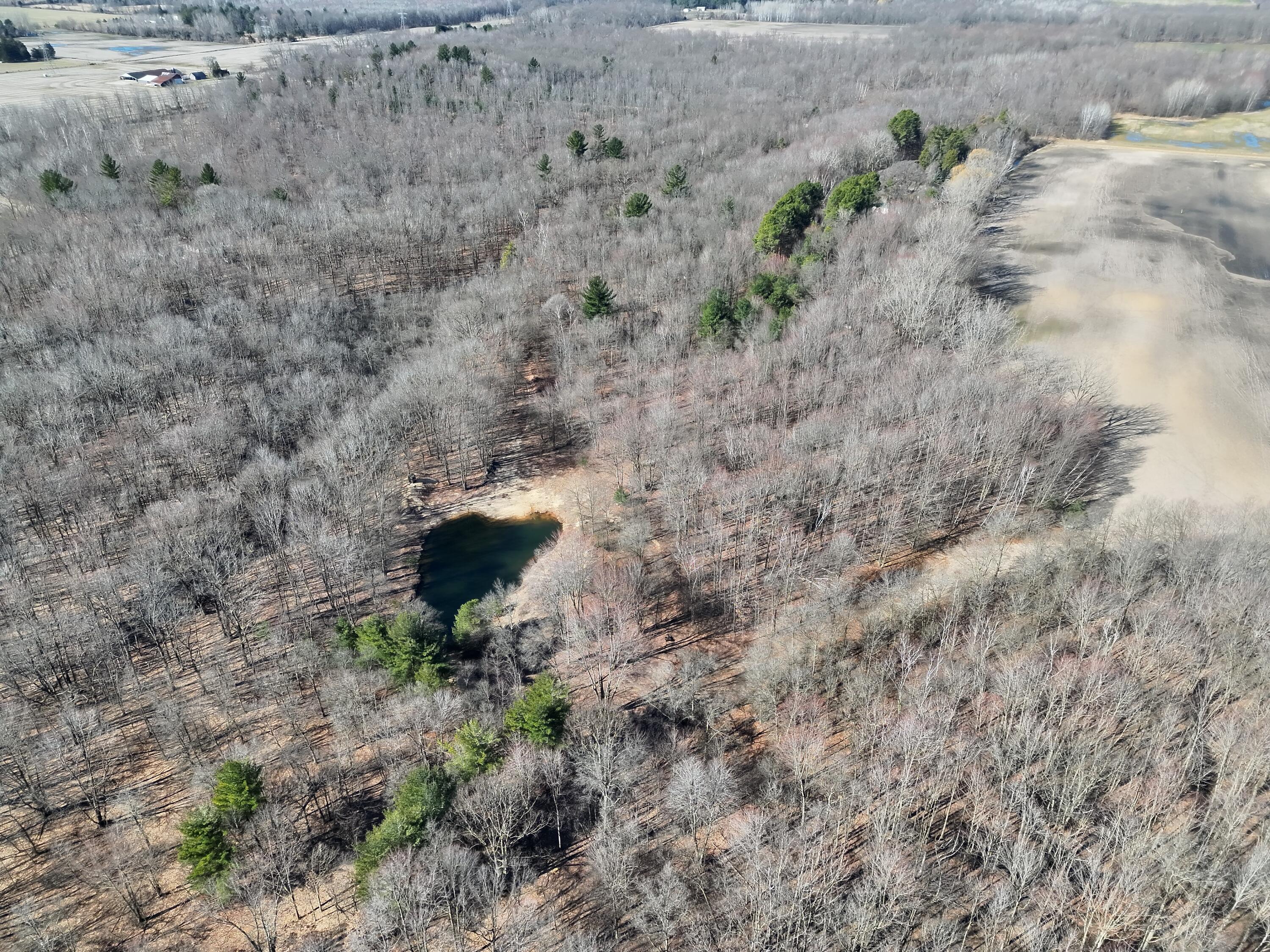 13709 South Fenmore Road Brant, MI 48614 - Photo 28 of 44 Pic 29