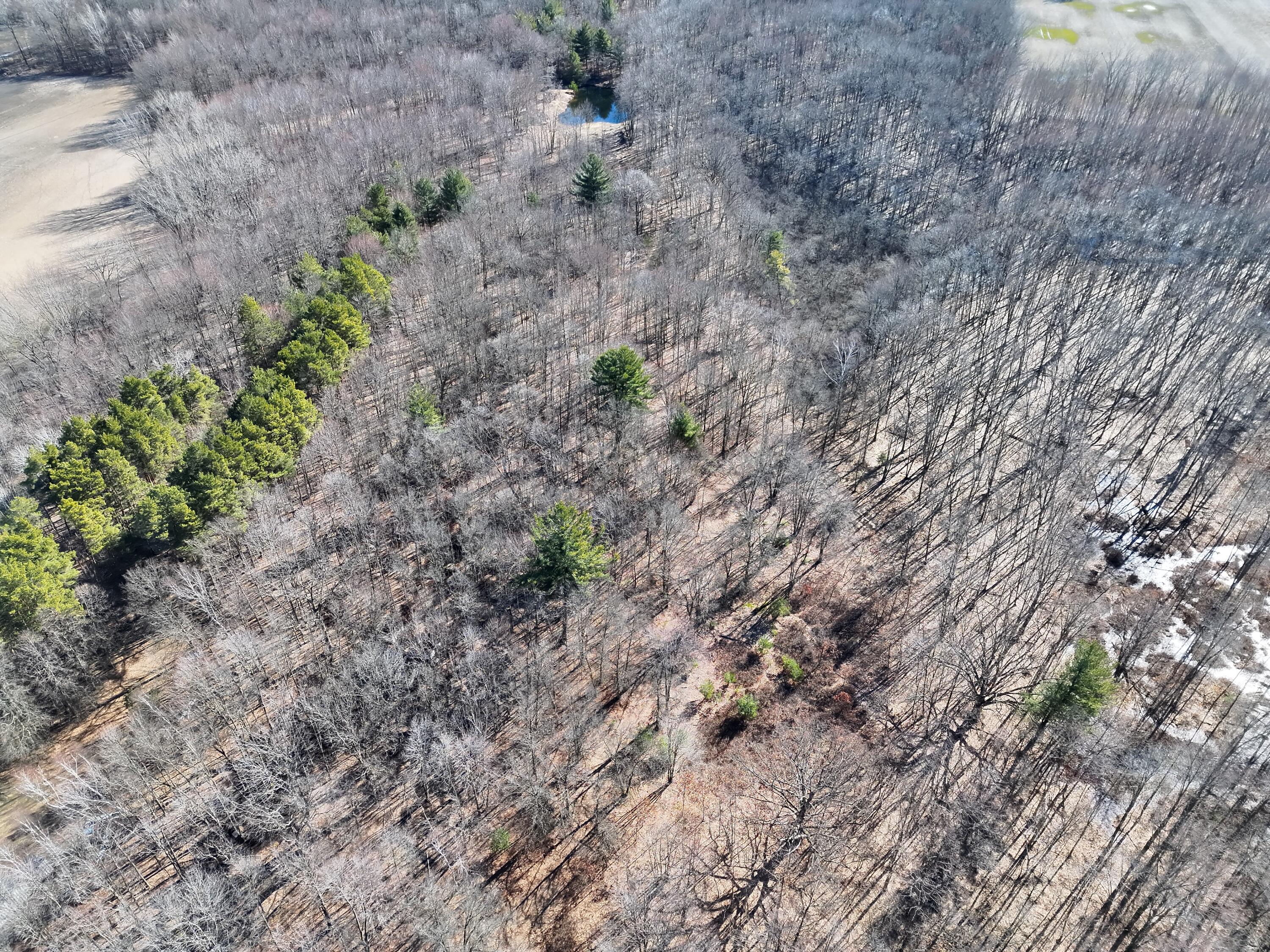 13709 South Fenmore Road Brant, MI 48614 - Photo 29 of 44 Pic 30