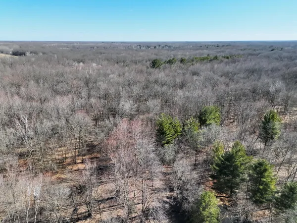 $139,000 | 13709 South Fenmore Road, Brant, MI 48614