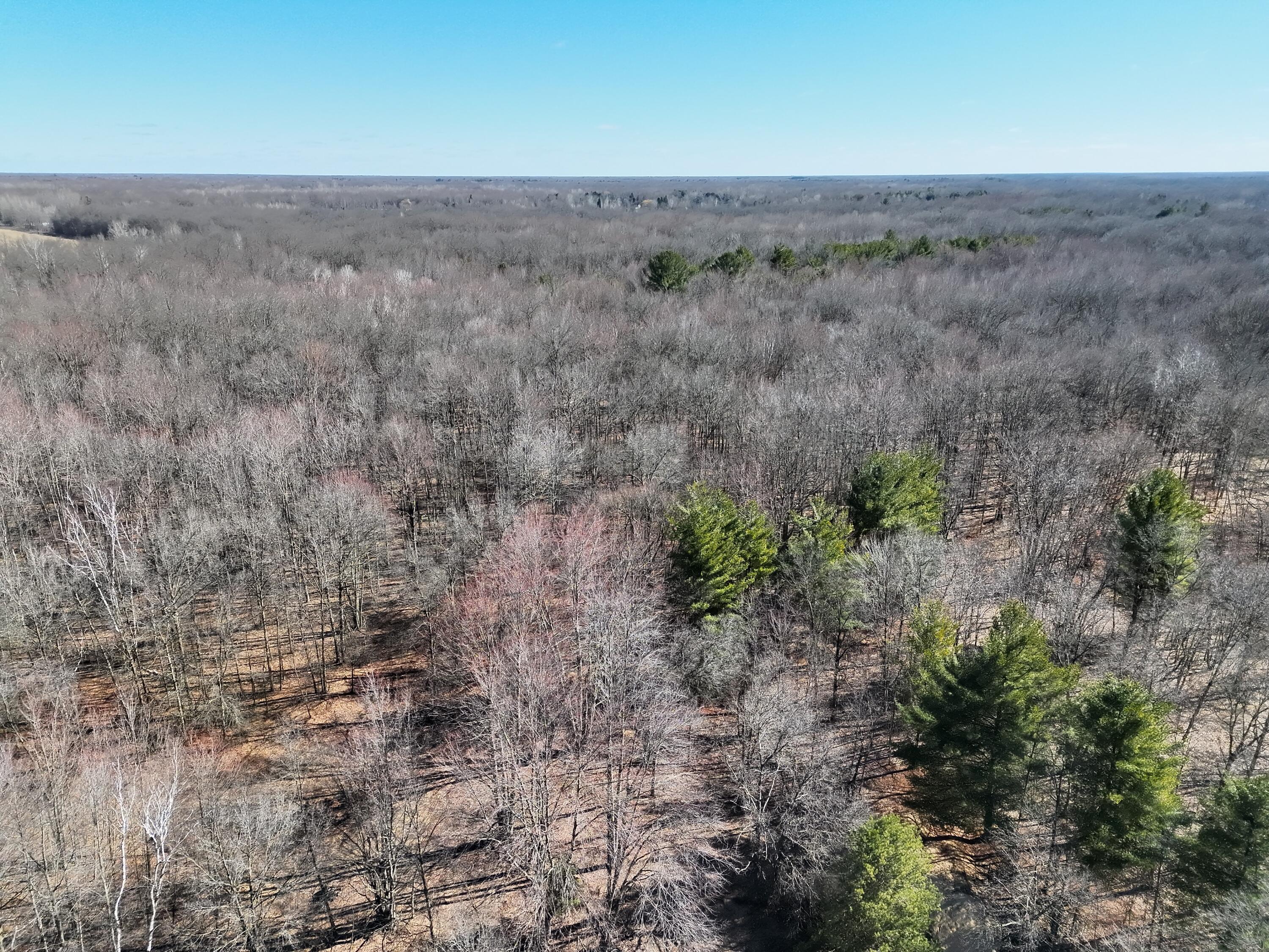 13709 South Fenmore Road Brant, MI 48614 - Photo 30 of 44 Pic 31