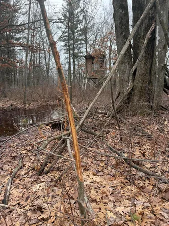 $139,000 | 13709 South Fenmore Road, Brant, MI 48614