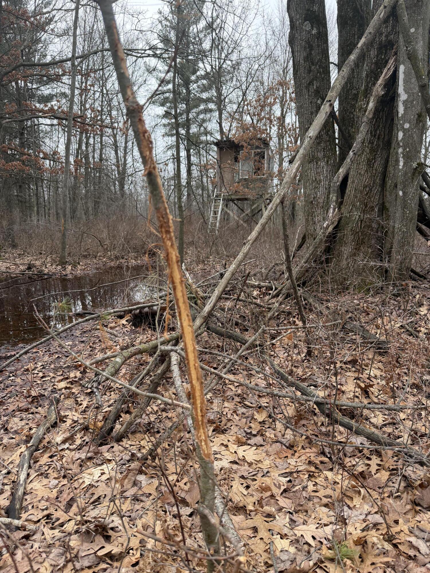 13709 South Fenmore Road Brant, MI 48614 - Photo 3 of 44 Pic 3