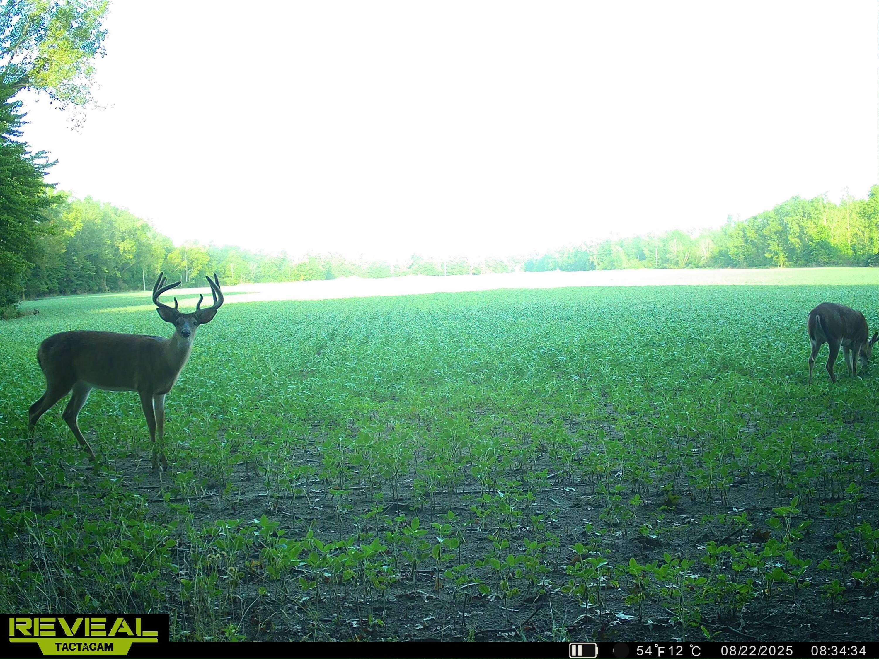 13709 South Fenmore Road Brant, MI 48614 - Photo 34 of 44 SYEW1099