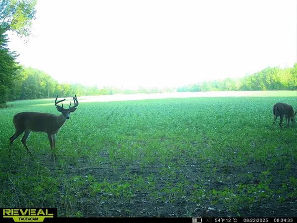 $139,000 | 13709 South Fenmore Road, Brant, MI 48614