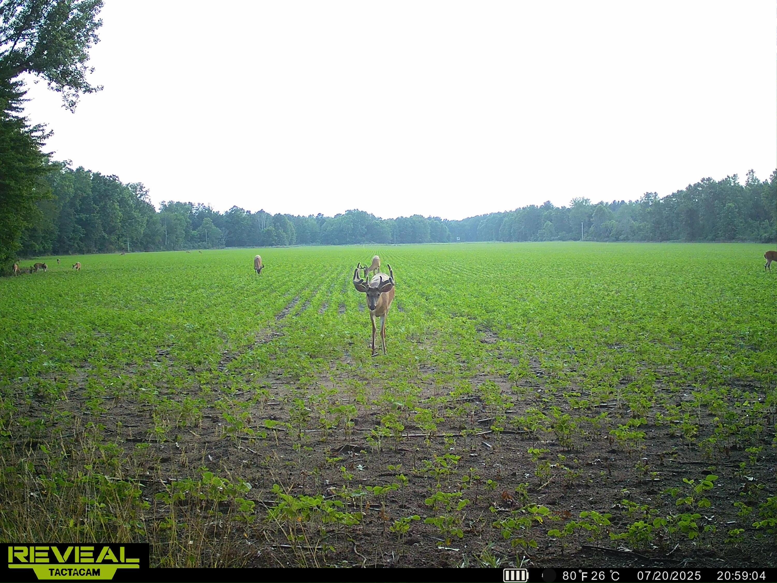 13709 South Fenmore Road Brant, MI 48614 - Photo 38 of 44 SYEW0183