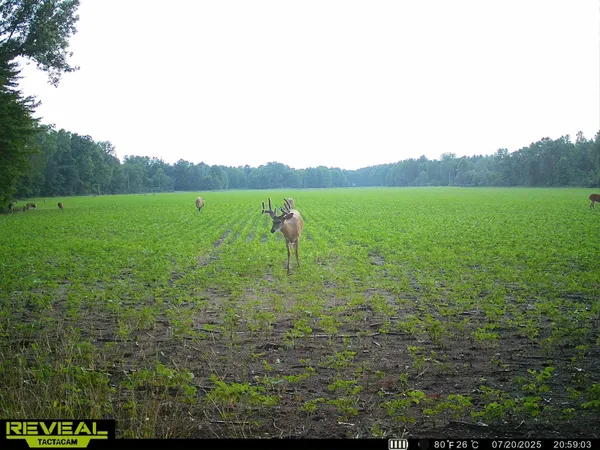 $139,000 | 13709 South Fenmore Road, Brant, MI 48614