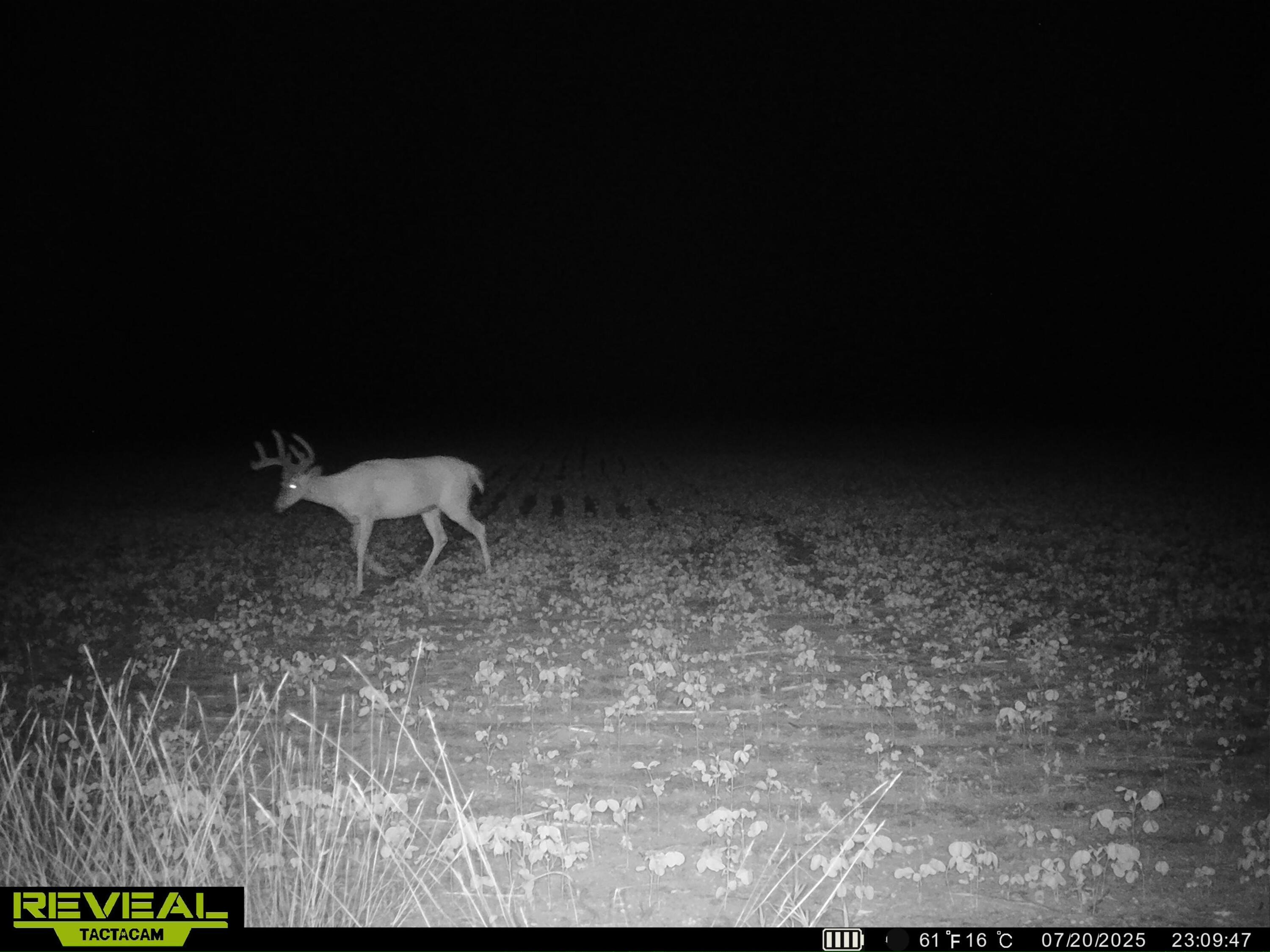 13709 South Fenmore Road Brant, MI 48614 - Photo 40 of 44 SYEW0187