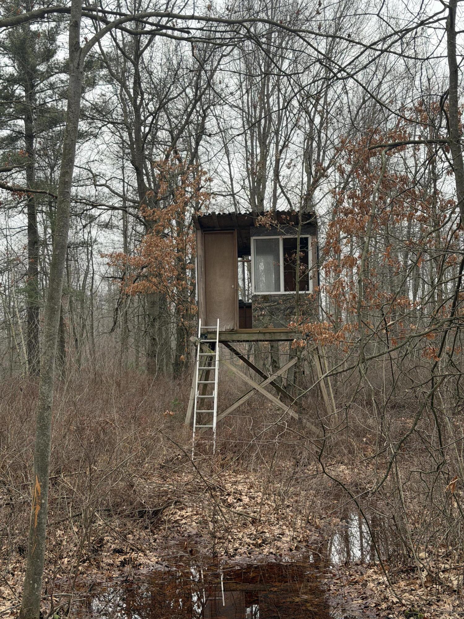 13709 South Fenmore Road Brant, MI 48614 - Photo 4 of 44 Pic 4