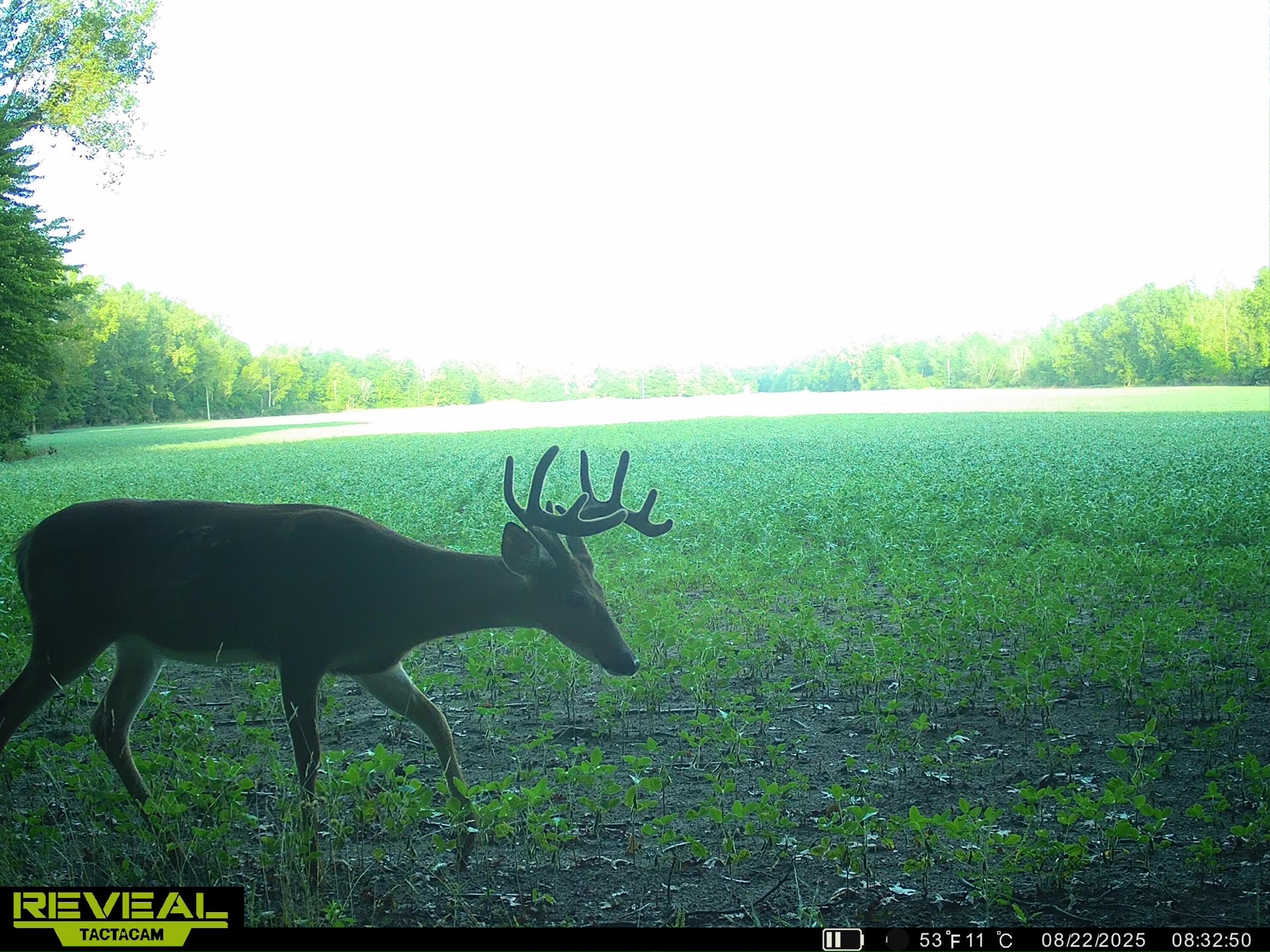 13709 South Fenmore Road Brant, MI 48614 - Photo 41 of 44 SYEW1090