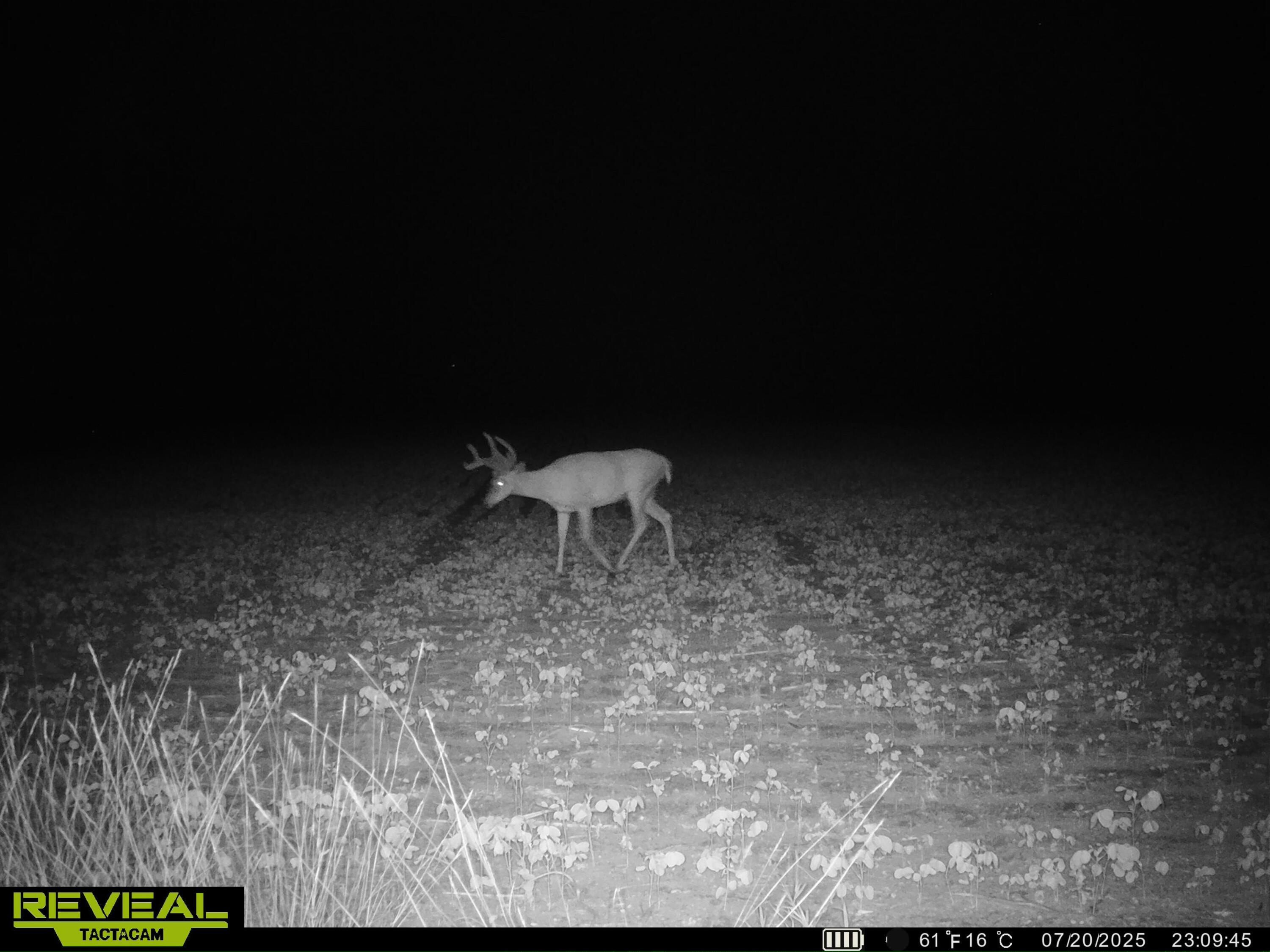 13709 South Fenmore Road Brant, MI 48614 - Photo 43 of 44 SYEW0185