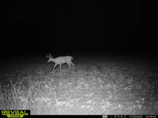 $139,000 | 13709 South Fenmore Road, Brant, MI 48614