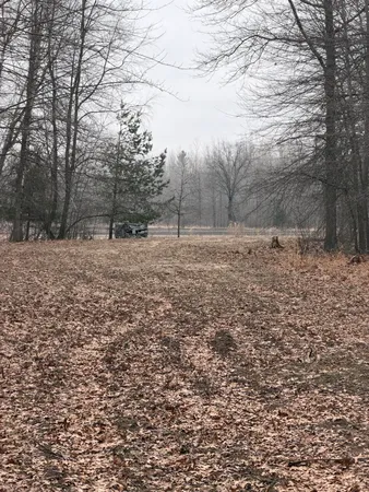 $139,000 | 13709 South Fenmore Road, Brant, MI 48614