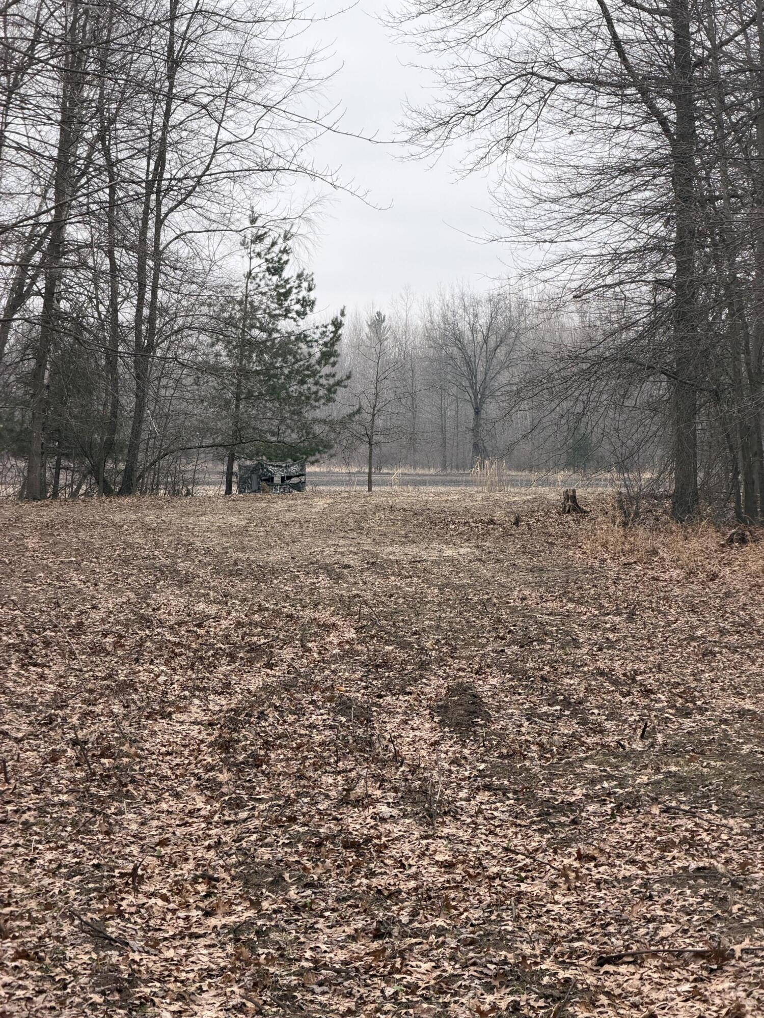 13709 South Fenmore Road Brant, MI 48614 - Photo 5 of 44 Pic 5