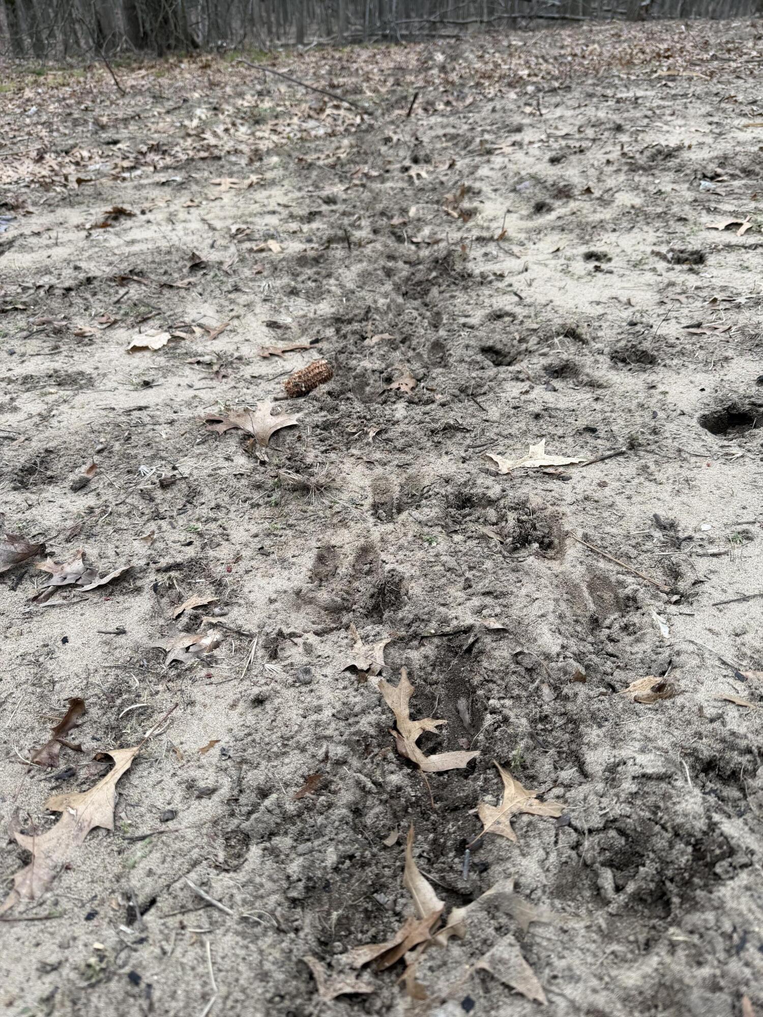 13709 South Fenmore Road Brant, MI 48614 - Photo 6 of 44 Pic 6