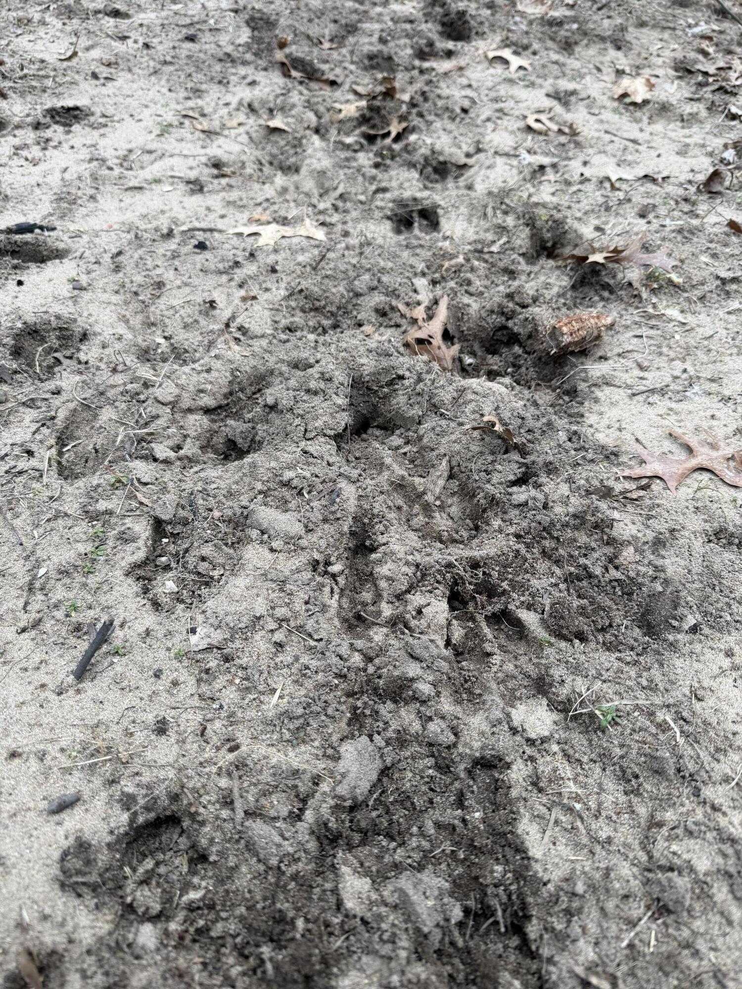 13709 South Fenmore Road Brant, MI 48614 - Photo 8 of 44 Pic 8