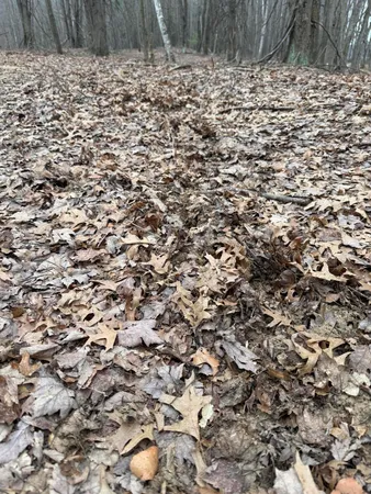 $139,000 | 13709 South Fenmore Road, Brant, MI 48614