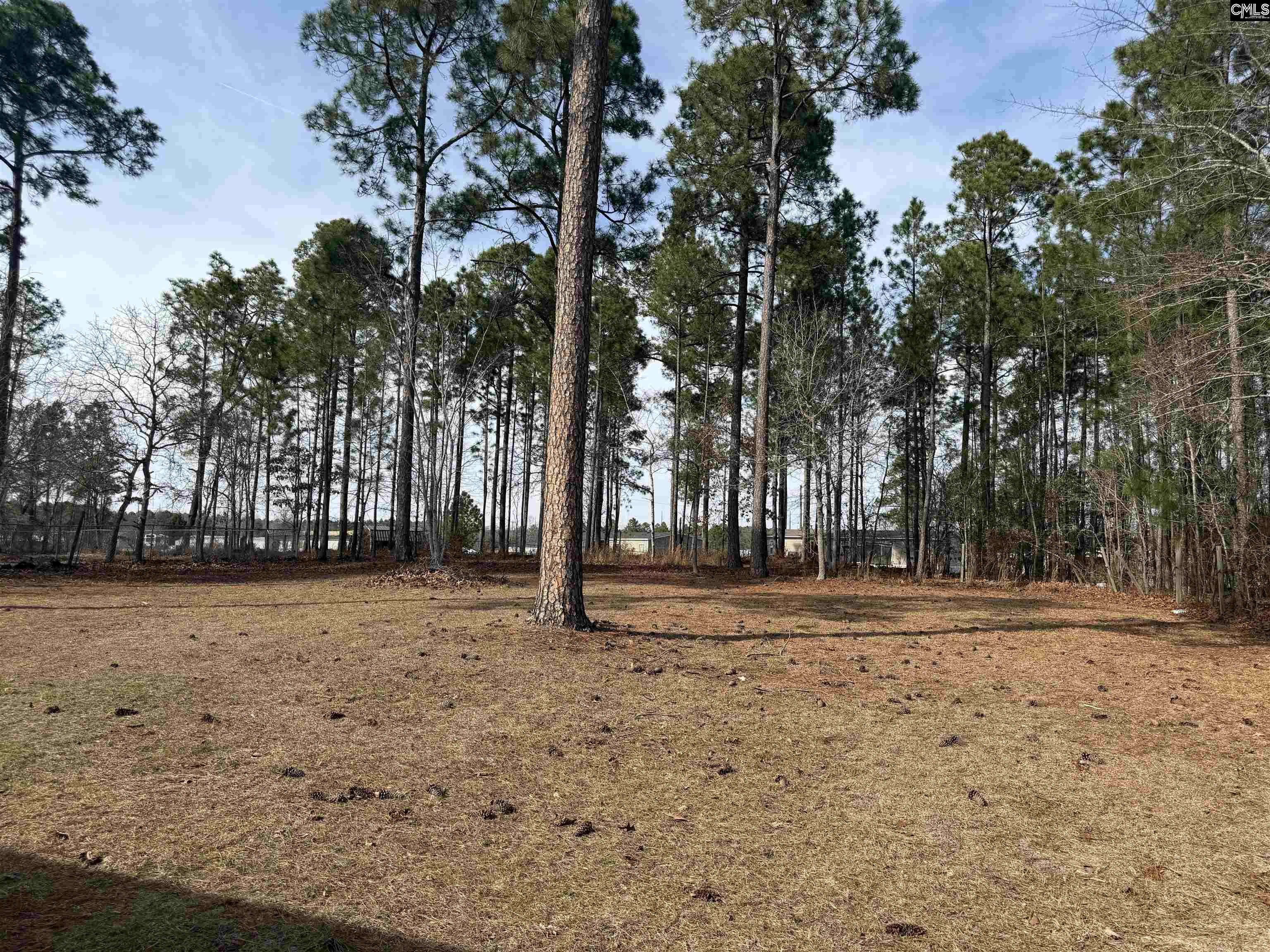 237 Shadow Dale Drive Gaston, SC 29053 - Photo 3 of 23