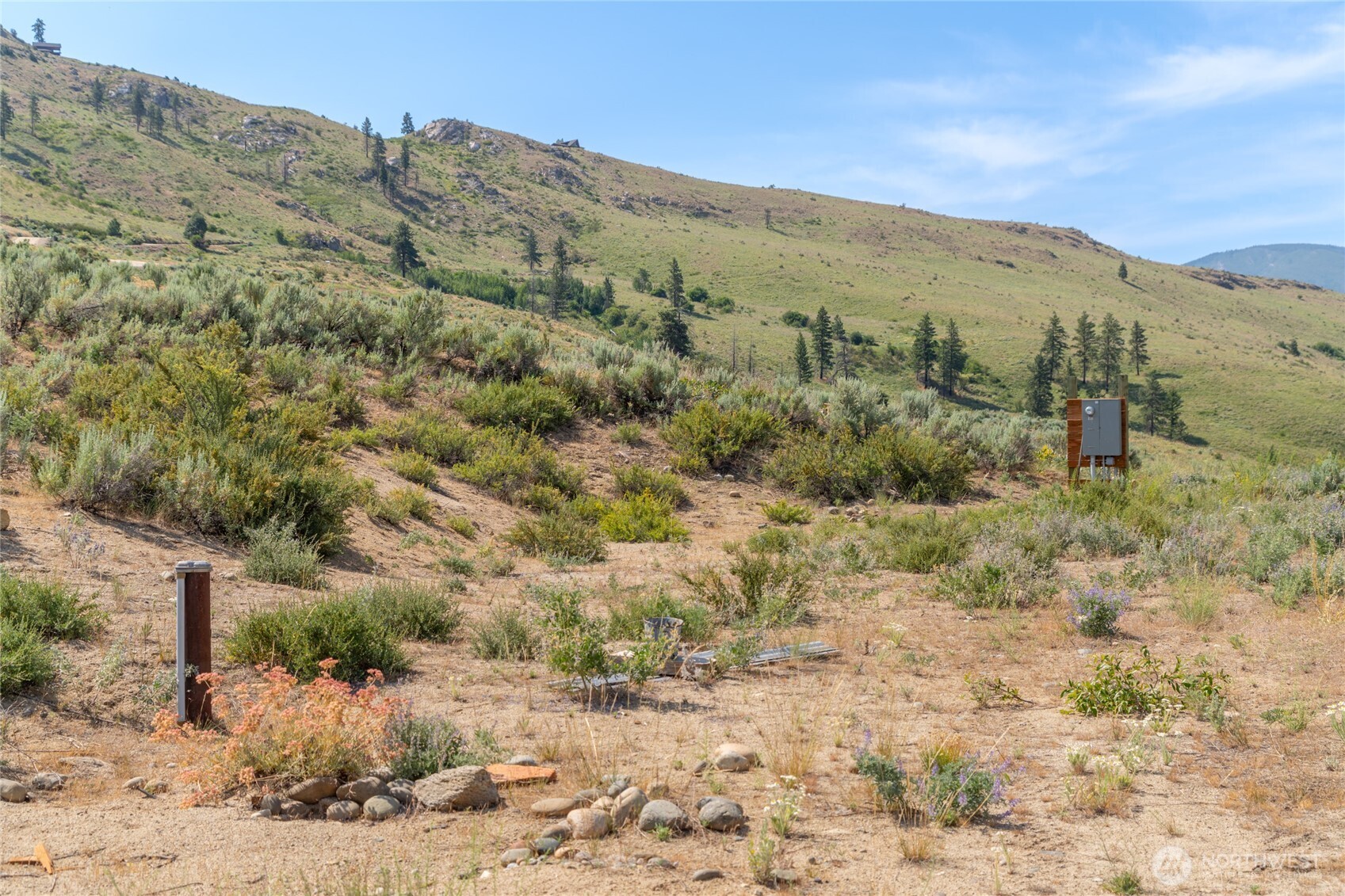 15 Cowboy Road Pateros, WA 98846 - Photo 6 of 15 a view of a dry yard with mountains in the background