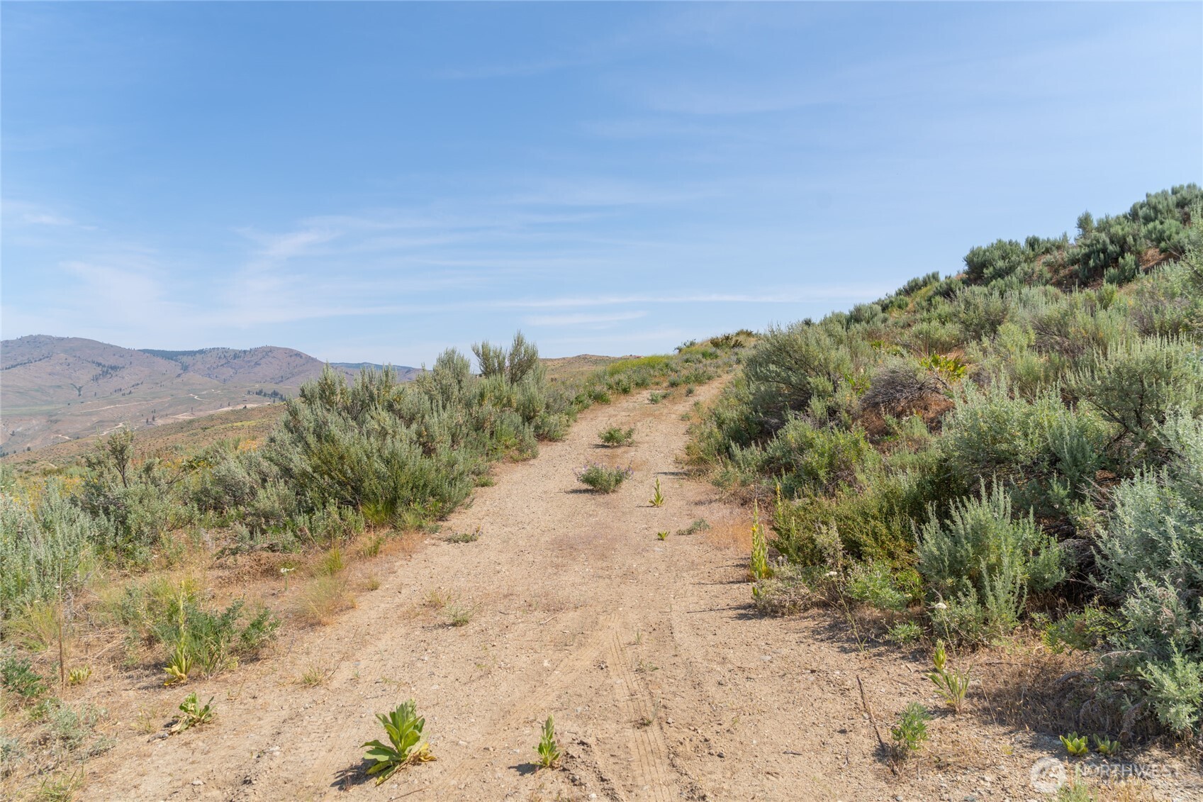 15 Cowboy Road Pateros, WA 98846 - Photo 8 of 15 a view of a dry yard with mountains in the background