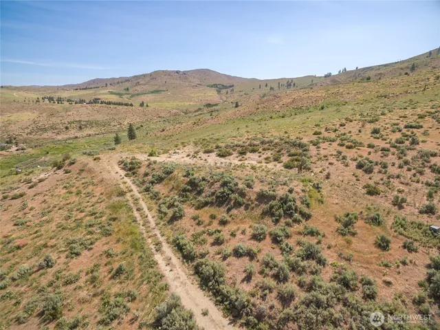 a view of a dry yard with mountains in the background