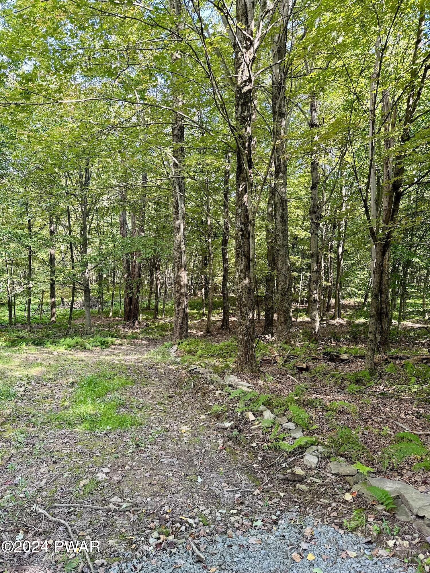 147-155 Highland Road Pleasant Mount, PA 18453 - Photo 61 of 82