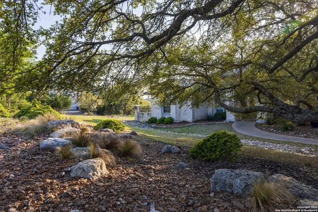 a view of a park with large trees