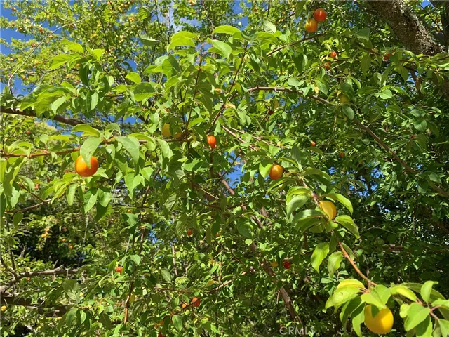 $929,000 | 9080 Santa Lucia Road, Atascadero, CA 93422