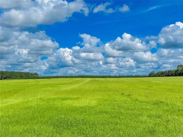 a view of a big yard