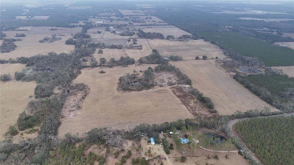 14720 40th Street Live Oak, FL 32060 - Photo 15 of 15 a view of a backyard of a house
